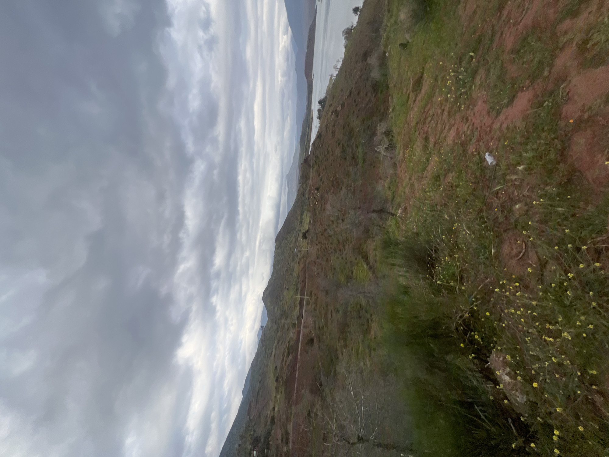 A landscape scene shows a hillside and a cloudy sky. The hillside features red soil and green vegetation, including small yellow flowers. A body of water, possibly a lake or river, is visible in the distance, separating the hill from other mountains. The sky is filled with grey and white clouds. Bin El Ouidane, Morocco, is not definitively evident but plausible based on the terrain and vegetation. No people or animals are visible.