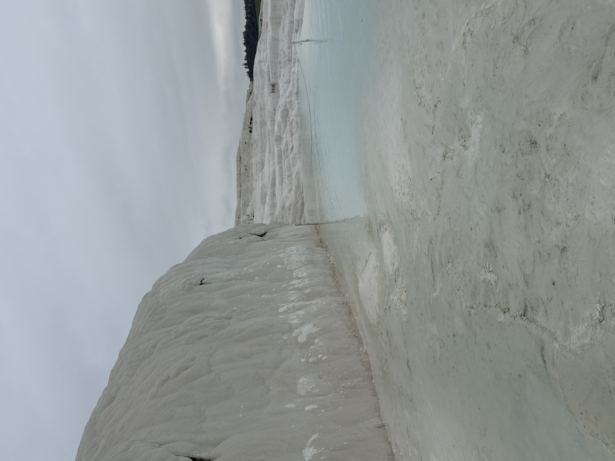 The image presents a view of the Pamukkale travertines in Turkey. The white terraces, formed by calcium-rich waters, are the dominant feature. A body of water sits atop the terraces. In the background, a tree line is visible beneath an overcast sky. The photograph depicts an arid, mineral-rich landscape transformed by water.