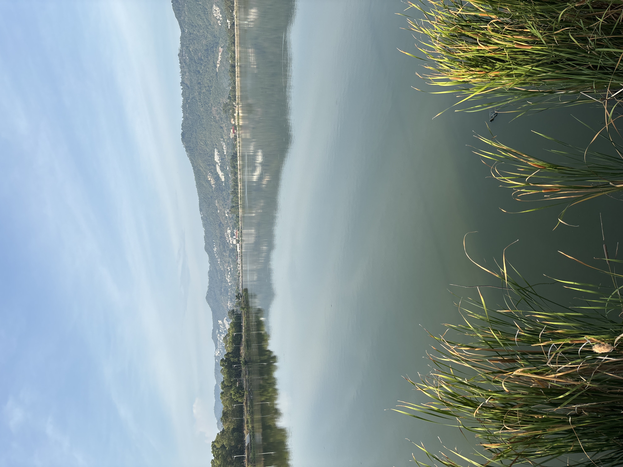 This media file captures a serene landscape in บ้านบางรักษ์, Thailand, featuring a tranquil body of water, a distant mountain range, and aquatic vegetation.
The primary subject is a large, calm expanse of water, likely a lake or reservoir, which dominates the central and foreground portions of the image. The water's surface acts as a mirror, reflecting the sky, the distant mountain, and structures along its base with remarkable clarity, though slight ripples diffuse the reflections.
In the mid-ground, a verdant mountain range stretches across the left horizon, its slopes covered in dense greenery. Along the base of this mountain, a road or pathway runs parallel to the water, dotted with residential or small commercial buildings and utility poles. The sky above is a bright, clear blue with a few faint, wispy clouds, suggesting fair weather.
The foreground on the right side of the image is characterized by a dense growth of tall, green reeds or marsh grasses. Many of these plants display their characteristic cylindrical, brown inflorescences, resembling cattails. Some of the grass blades show hints of golden light, indicating direct sunlight. A small, dark, rectangular object, possibly a piece of debris, is visible floating in the water near the reeds.
The scene depicts a peaceful and natural setting, likely captured during late morning or early afternoon given the clear, bright illumination and distinct reflections. There are no people visible, and no discernable text appears in the image. The overall impression is one of calm and natural beauty.