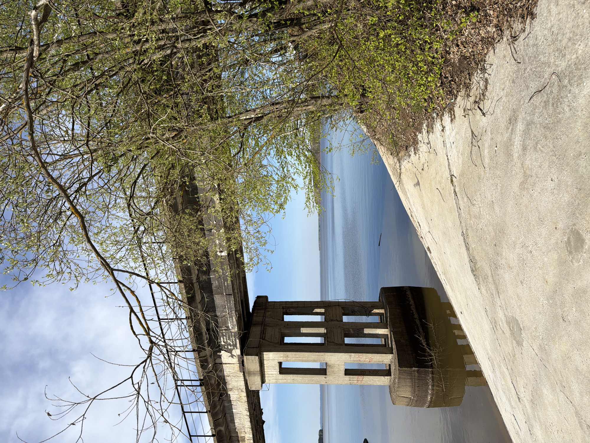 The image depicts a concrete structure partially submerged in water, likely a pier or foundation. The structure has rectangular openings. A metal ladder is attached to the side. The water reflects the sky and the concrete structure. Trees with budding leaves are visible above and to the left of the structure. A concrete wall runs along the right side of the image, separating the land from the water. The scene is illuminated by sunlight. It is likely the old pier located in Chaikovsky, Russia.