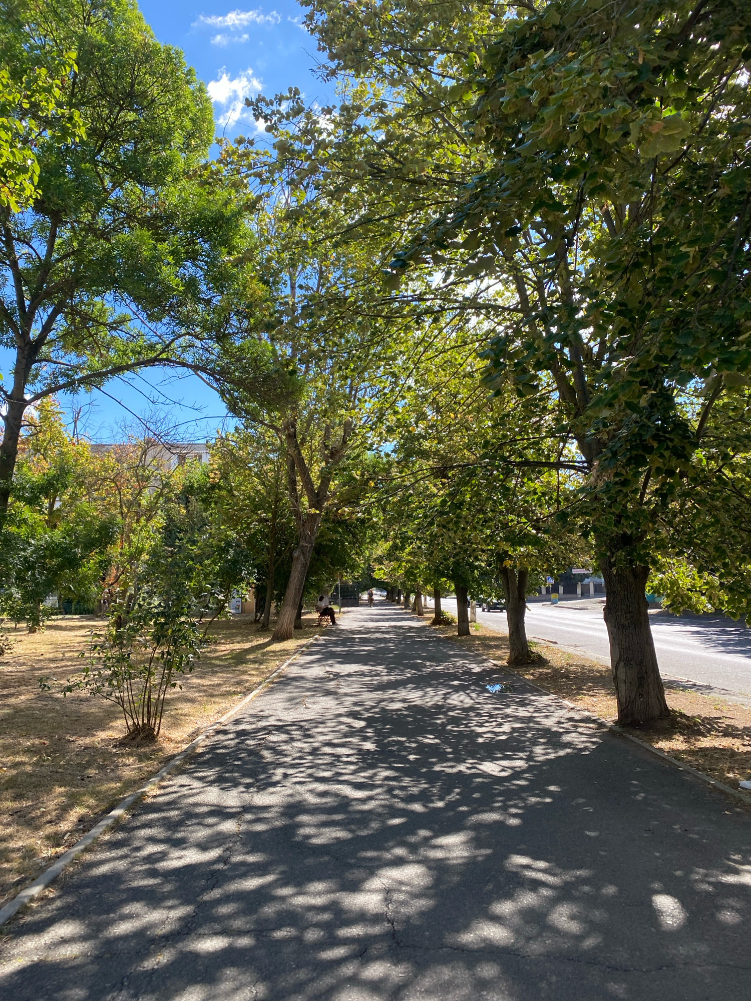 The image depicts a sun-dappled tree-lined walkway in Chornomorsk, Ukraine. The walkway is paved with asphalt and bordered by dry grass on the left and a road with a few vehicles on the right. The walkway is shaded by the dense foliage of mature trees, casting intricate patterns of light and shadow on the ground. In the distance, a person is seated on a bench under the trees, and another person is visible on a bicycle further down the path. The sky is clear blue with a few white clouds. The overall scene suggests a tranquil urban park or a tree-lined boulevard on a sunny day.
