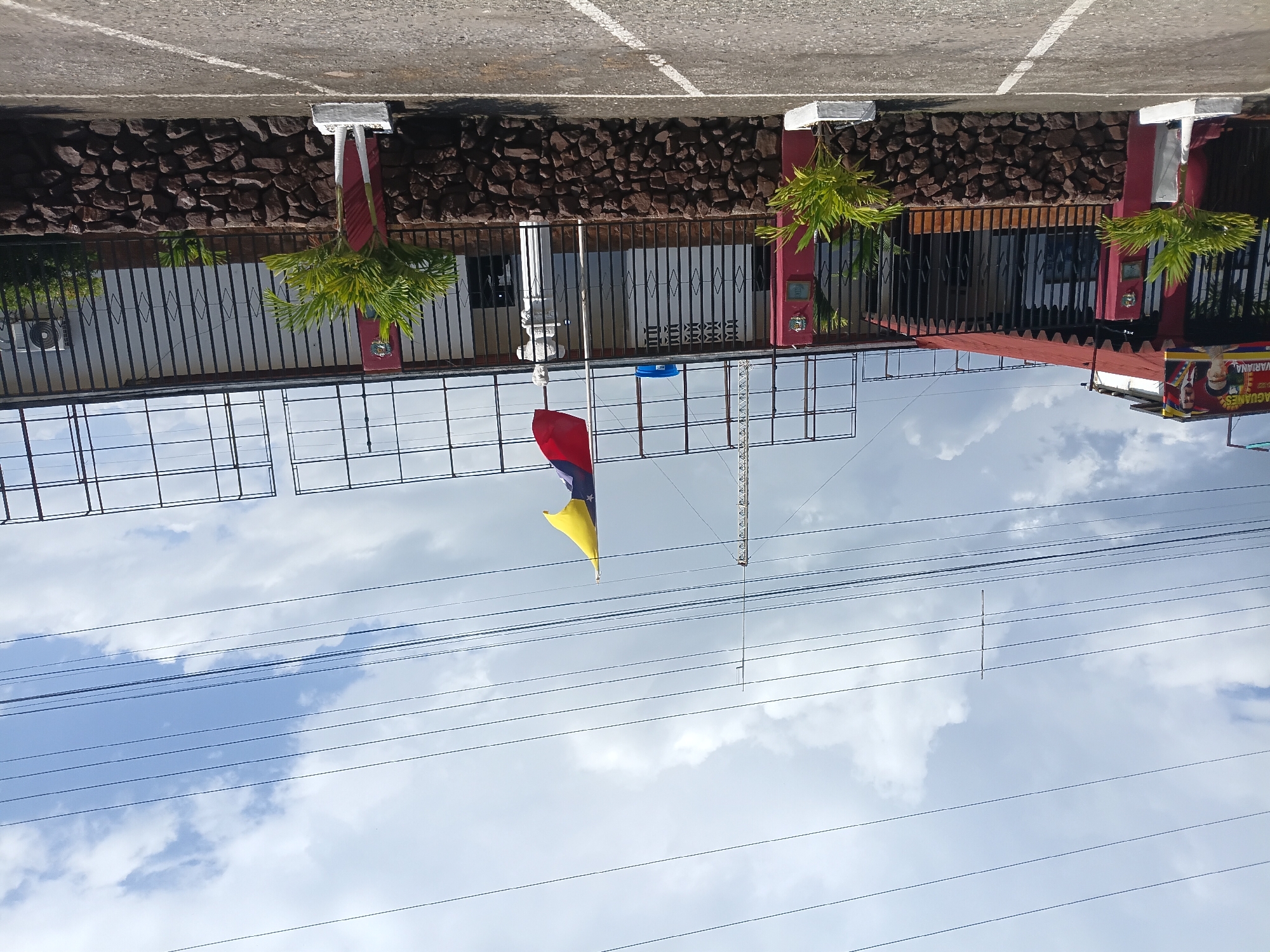 The image captures a facade of a building in Taguanes, Venezuela. A Venezuelan flag is prominently displayed on a flagpole in front of the building, which has a red roof and black metal fencing. The building's exterior is adorned with a mural featuring portraits of individuals, possibly political figures, with the text "TAGUANES" and "LA VARIANA" visible. In front of the building, two potted palm trees are placed on either side of a stone wall. A parking lot is in the foreground, marked with white lines. Overhead, multiple power lines crisscross the sky, which is partially cloudy. A tall communication tower is also visible in the background.