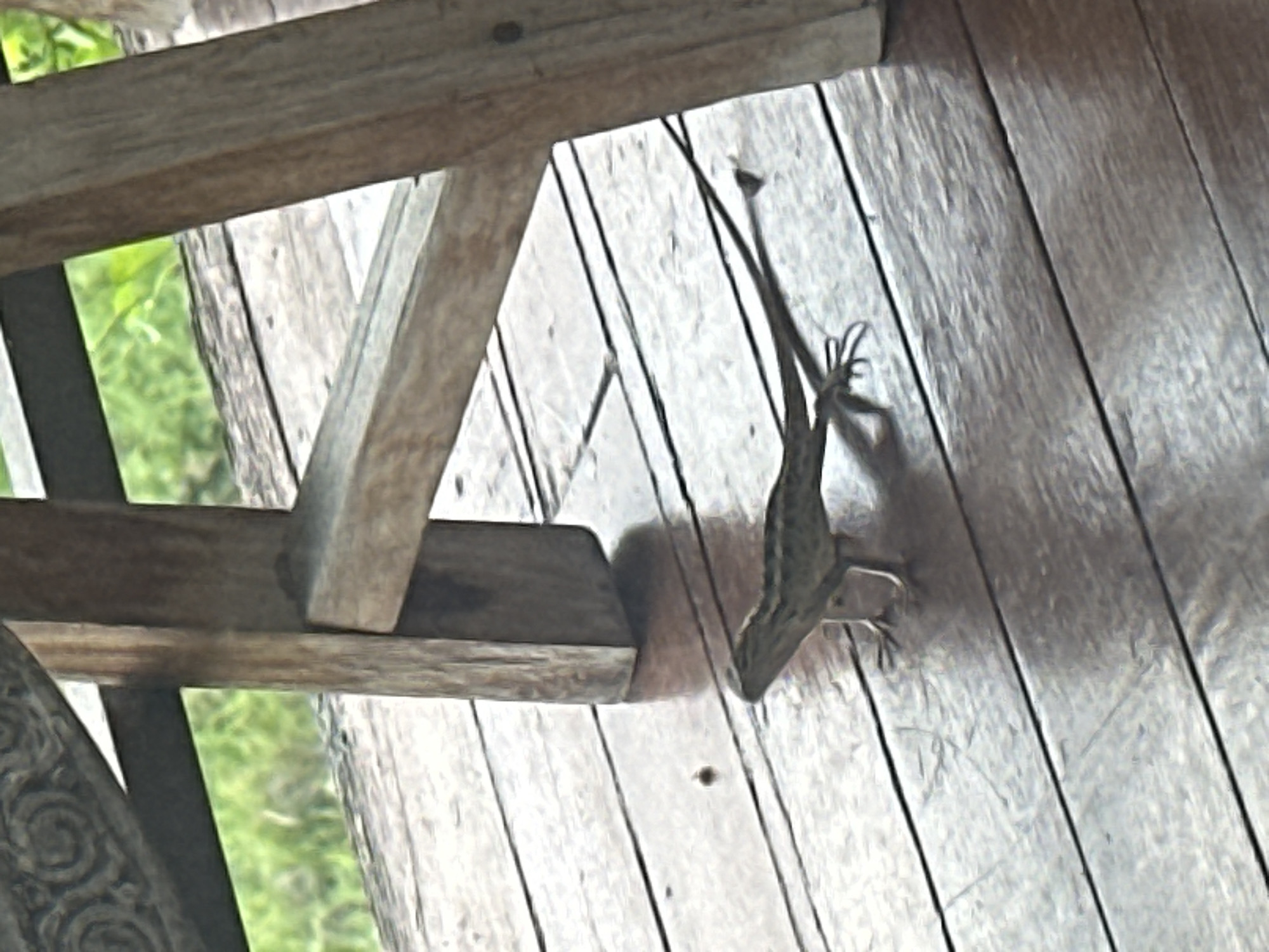 A lizard clings upside down on a wooden surface, likely a porch or deck, constructed from light-colored planks. A wooden structure, possibly part of a chair or railing, frames the left side of the image. Beyond this structure, green foliage is visible. Given the location of North Kuta, Indonesia, the lizard is likely a local species adapted to this tropical environment. There are no people visible.