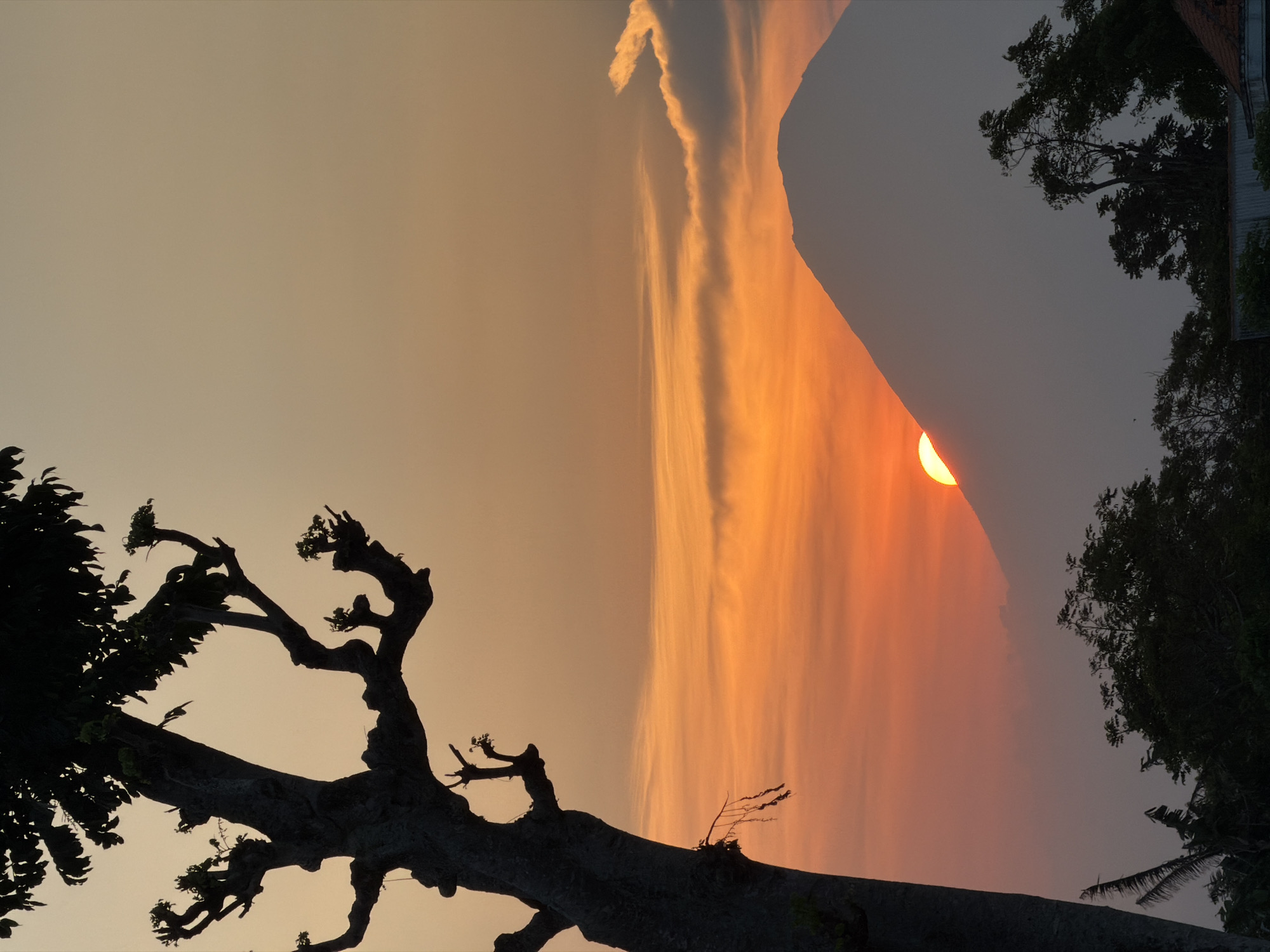 A silhouetted tree with gnarled branches stands in the foreground on the left, partially obscuring the view of a mountain in the background. The sun, a bright orb, is setting behind the mountain, casting a warm orange glow across the sky. Wispy clouds streak across the horizon, adding texture to the sunset. The lower part of the image shows dark green foliage, suggesting lush vegetation. In the distance, the peak of the mountain is outlined against the vibrant sky, and hints of man-made structures are visible at the very bottom edge. The scene captures the serene beauty of a sunset in Wotgalih, Indonesia.