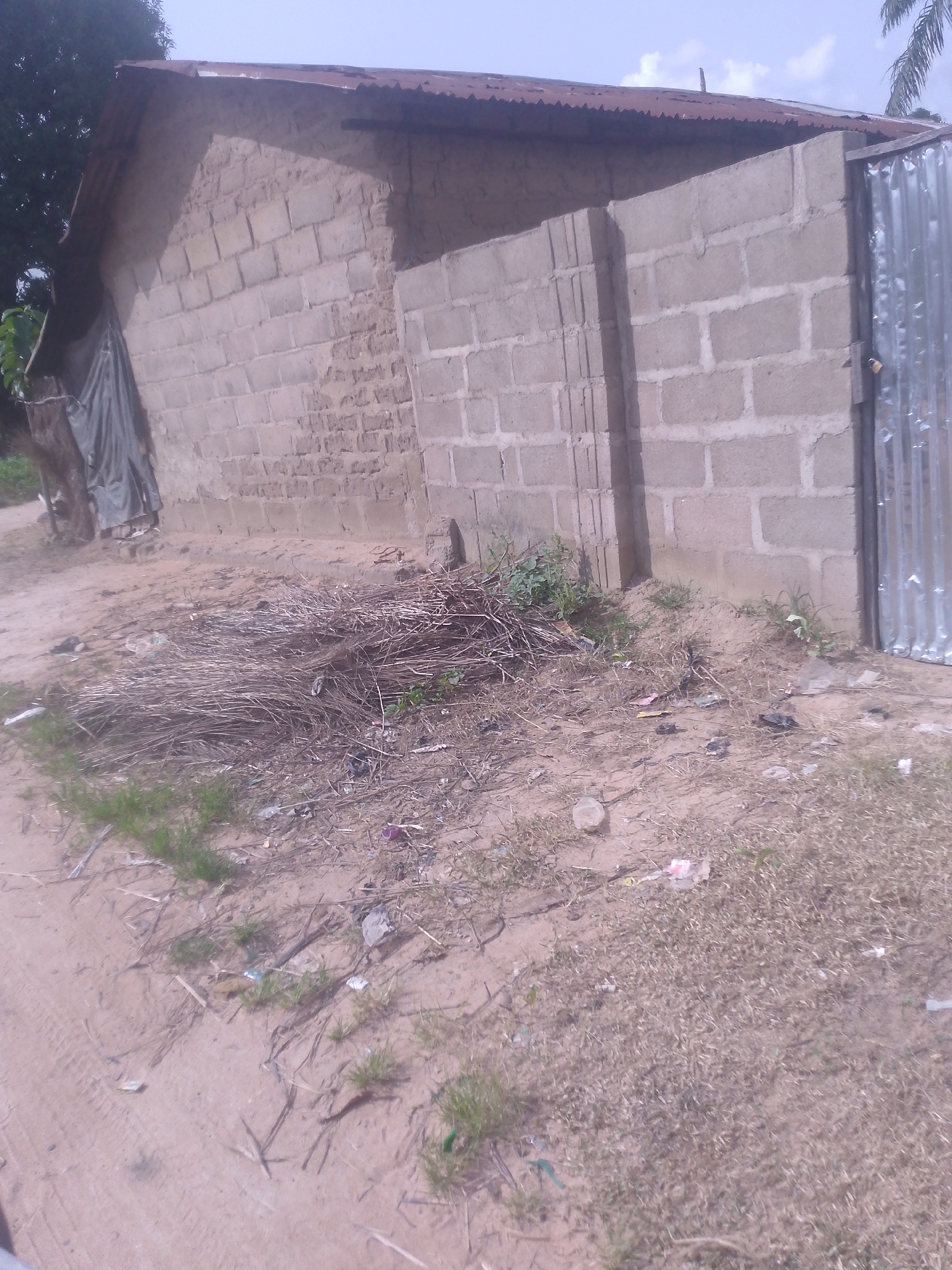 The image depicts an outdoor scene in Serti, Nigeria, focusing on a humble, unfinished brick structure with a corrugated metal roof. To the left, a large tree with dark foliage partially shades the building. A gray tarp is draped over a portion of the wall and against the tree. The building's walls are constructed from light-colored, rectangular bricks laid in a staggered pattern, with visible mortar. Adjacent to the building is a section of wall extending to the right, also made of similar bricks and culminating in a tall, corrugated metal gate with vertical ridges. A padlock is visible on the gate.
The foreground consists of a dirt path with sparse, dry grass and scattered debris, including what appears to be dried palm fronds or similar plant matter piled in a heap to the left of the gate. Small pieces of litter, such as plastic wrappers and bottles, are visible on the ground, indicating a lack of recent cleanup. The ground is uneven, with small mounds of sand and patches of dry vegetation. The sky above is a pale blue with scattered white clouds, suggesting it is daytime. The overall impression is one of a simple, potentially rural or peri-urban dwelling in a state of ongoing construction or disrepair.