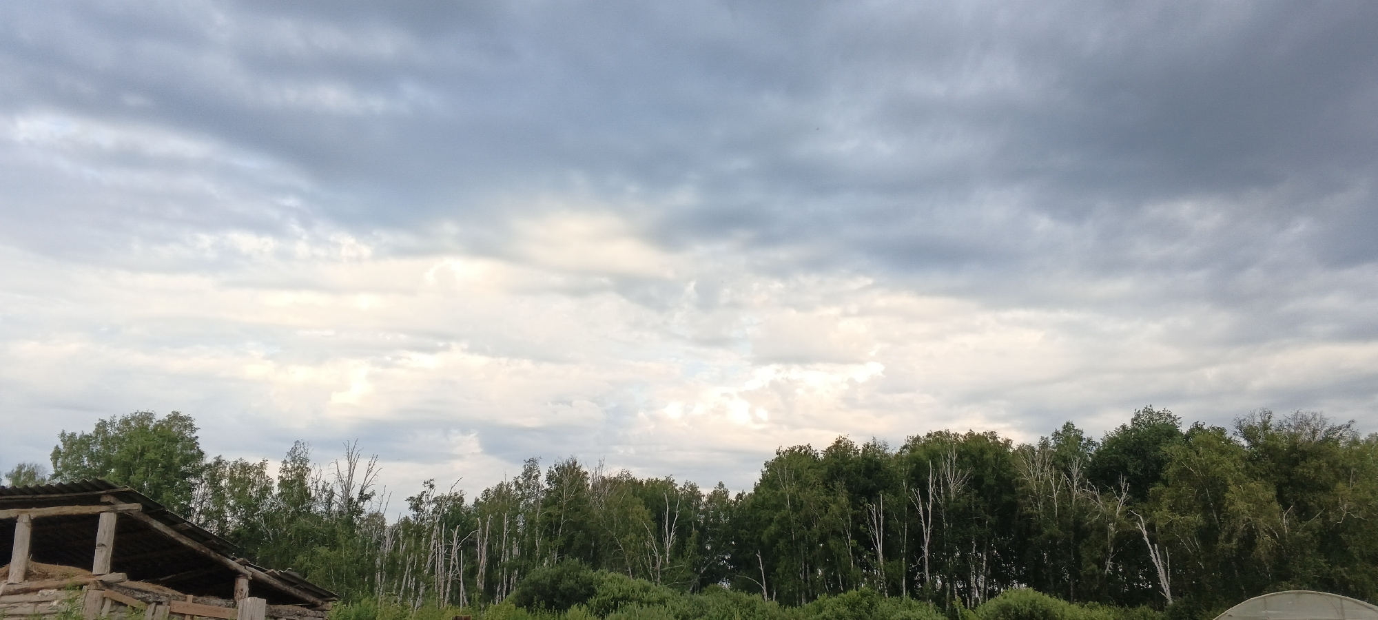 The image depicts a rural landscape under a cloudy sky. In the foreground, to the left, is a rustic wooden structure that appears to be an open-sided shelter or shed, with a slanted roof made of corrugated material and visible wooden posts. Hay or straw is piled inside. Beyond the structure, a dense line of trees, primarily deciduous with green foliage, forms a backdrop. Among the green trees, some bare, pale tree trunks are interspersed, suggesting either dead trees or trees with white bark like birches. The trees extend across the middle ground of the image. The sky above is filled with various shades of gray and white clouds, indicating an overcast or potentially changing weather condition. The overall impression is one of a serene, natural setting on the outskirts of a rural area. The image is a landscape photograph with no people or animals visible.