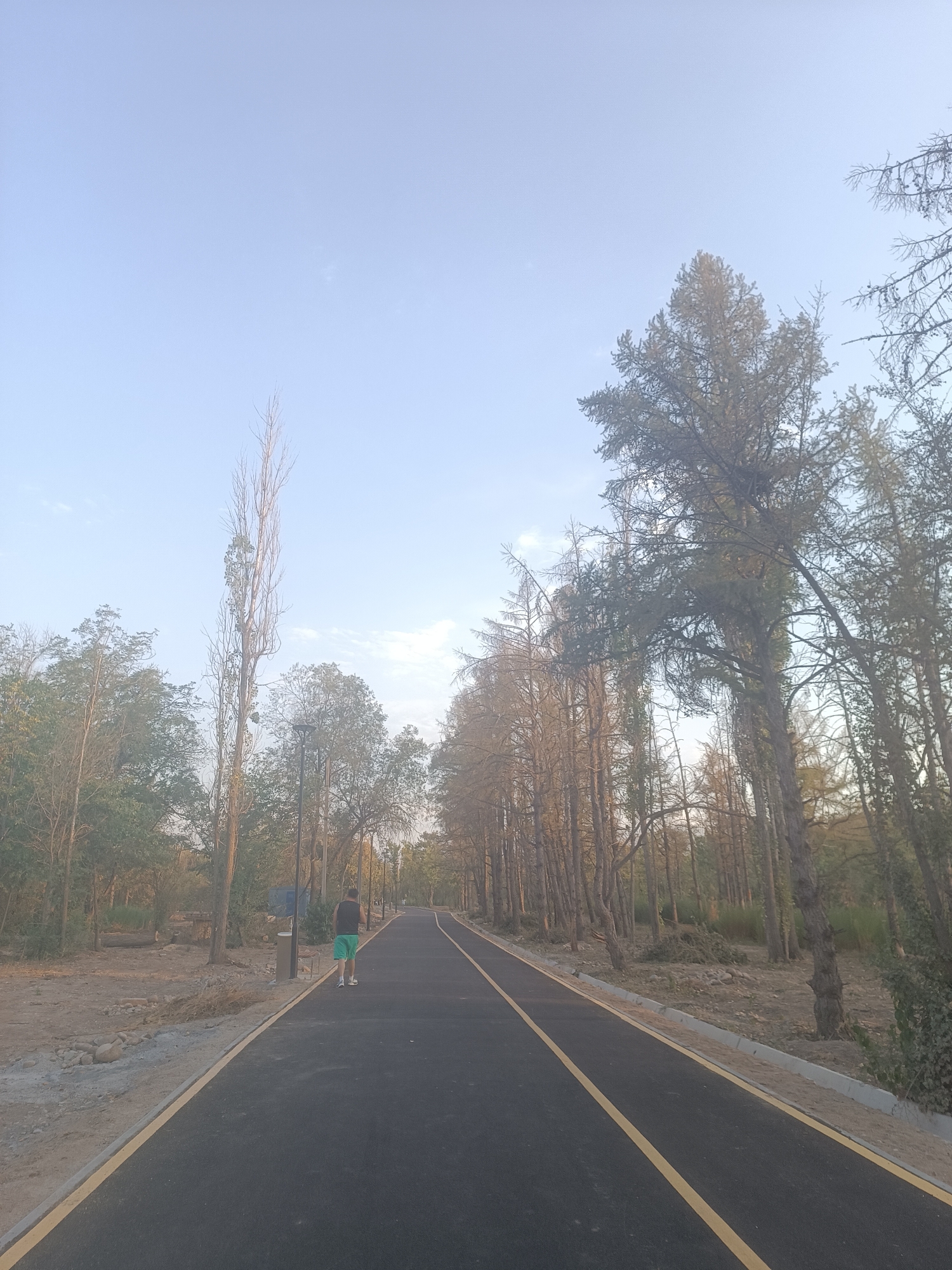 The image shows a paved path with yellow lane markings running through a park-like setting in Bishkek, Kyrgyzstan. The path is lined with trees on both sides, some of which are tall and slender, while others are more mature and full. The ground on either side of the path is mostly dirt and gravel, with some scattered rocks and vegetation.
In the foreground, a person is walking away from the camera on the path. They are wearing a dark sleeveless shirt and bright green shorts. The path curves to the right as it recedes into the distance, and more trees and what appear to be lampposts are visible along its edges. The sky above is a pale blue with a few wispy clouds. The overall impression is one of a serene, outdoor recreation area.