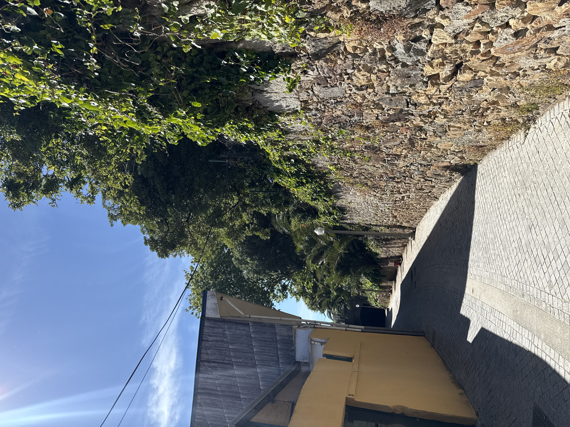 A sunlit, narrow cobblestone street in Porto, Portugal, is lined with a rock wall overgrown with ivy. A building with a grey roof and yellow walls is on the left. Trees and blue sky are above. A black vehicle is visible at the end of the street.