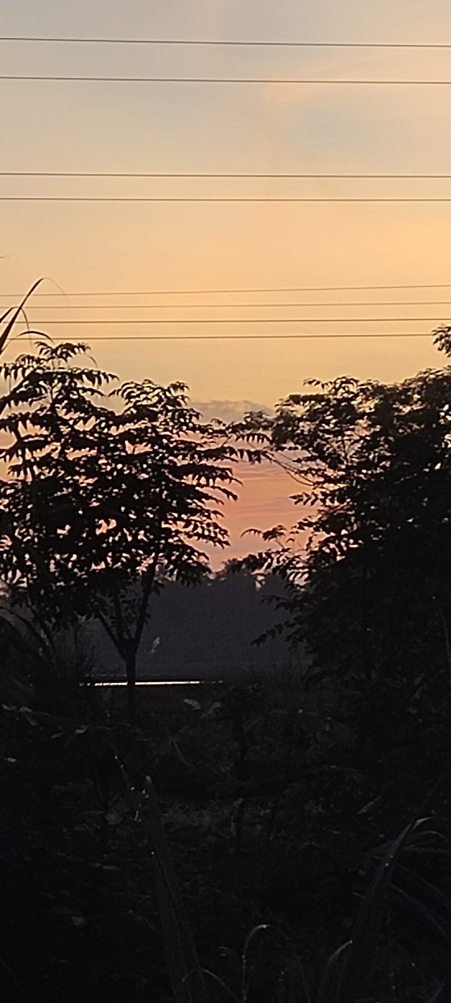 The image depicts a sunset landscape in Lhokseumawe, Indonesia. Silhouetted trees frame the view, with power lines stretching across the upper portion of the frame. The sky transitions from light orange near the horizon to a paler tone higher up. A sliver of a dark body of water is visible between the trees. The foreground is obscured by dark foliage, suggesting a natural or undeveloped area. No people are visible.