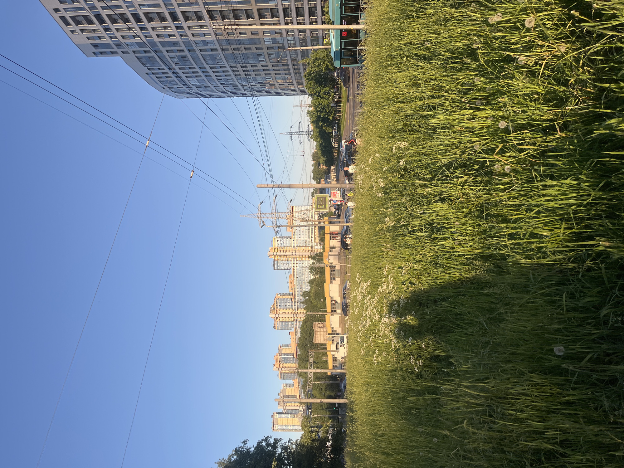 The image depicts an urban landscape under a clear blue sky, illuminated by warm, low-angle sunlight, suggesting late afternoon or early evening. The foreground is dominated by a dense field of tall, vibrant green grass, interspersed with white wildflowers and fluffy dandelion seed heads. Two human shadows are cast long onto the grass in the lower-left quadrant.
A multi-lane asphalt road separates the grassy field from the built environment in the mid-ground. Cars are visible on the road, with a light blue tram (marked "93") heading left on the right side. Several pedestrians are on the sidewalk adjacent to the road. Urban infrastructure includes numerous utility poles, a complex network of overhead wires (likely for trams and power), traffic lights, and a low metal fence separating the grass from the road. A white van is also present on the road.
On the left side of the mid-ground, behind some trees, are low, rectangular buildings with yellow and white facades, one featuring a yellow sign with the Cyrillic word "КУХНИ" (KUKHNI - "Kitchens"). In the center-right, a large, modern, curved high-rise residential building with numerous balconies and a light grey/white facade rises prominently. Several metal lattice power towers are visible in the mid-distance.
The background features a cluster of distant high-rise residential buildings with orange/brown roofs and lighter facades, stretching across the horizon from left to right. These buildings are partially obscured by lines of green trees. The Cyrillic signage and architectural styles are consistent with urban areas in Russia, specifically Saint Petersburg.
