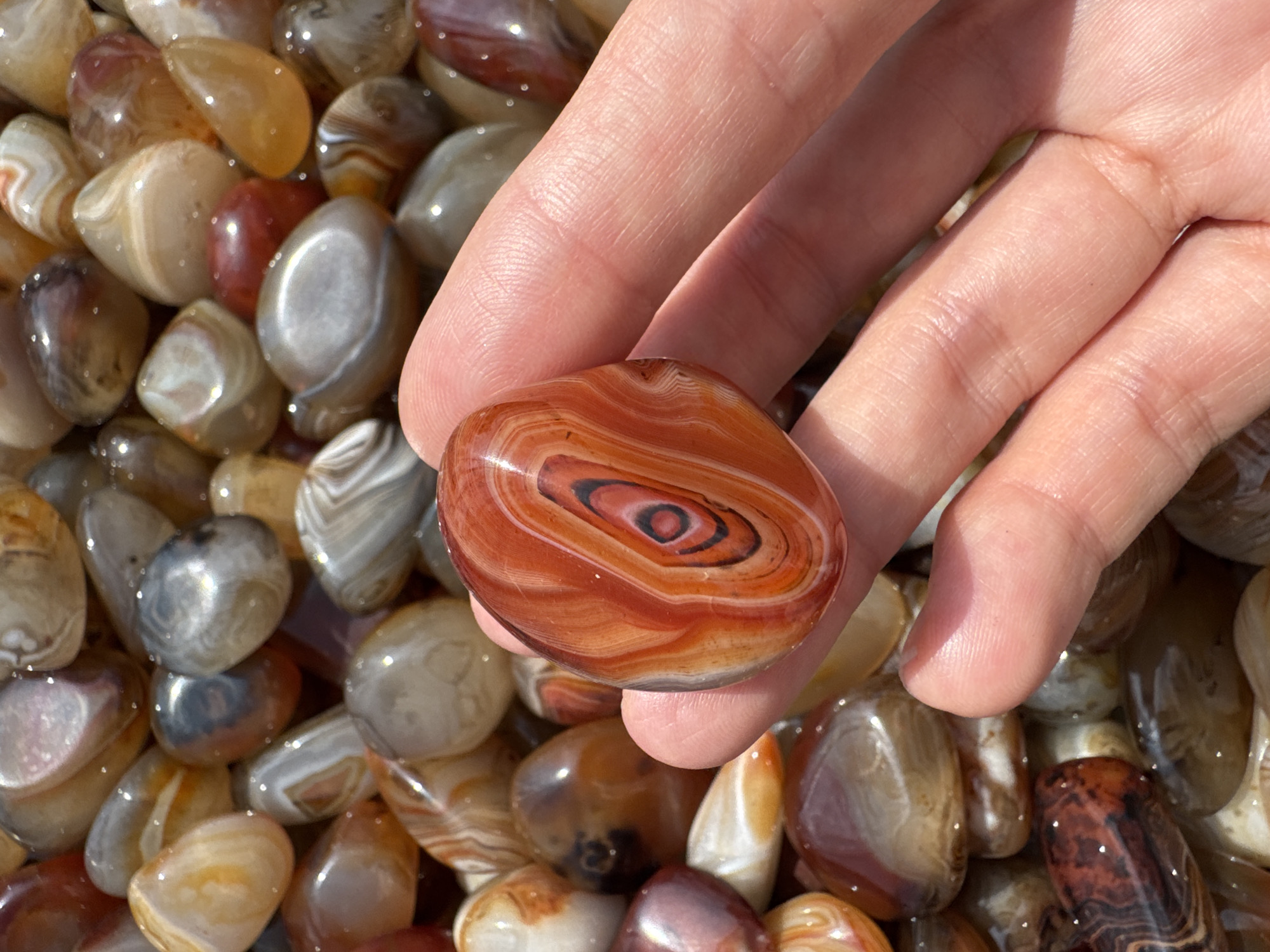 A close-up image depicts a human hand holding a single, polished agate stone, presented against a dense background of numerous similar polished agates. The scene is located in Wulingyuan, China. The hand, specifically the thumb, index, and middle fingers, secures an oval-shaped agate approximately 5-6 cm in length. This particular stone exhibits a prominent red-orange coloration with distinct concentric bands of black, dark red, and lighter orange, forming an eye-like pattern at its center. Its surface is highly polished and reflective. The background consists entirely of a tightly packed collection of tumbled and polished agate stones, varying in size and displaying natural color variations including shades of brown, orange, white, grey, and reddish-brown, many with subtle banding. All visible stones show a high sheen and reflections, consistent with polished surfaces or the presence of moisture. The scene is brightly illuminated, casting strong highlights on the stones and the skin of the hand, which shows visible fingerprint ridges.
