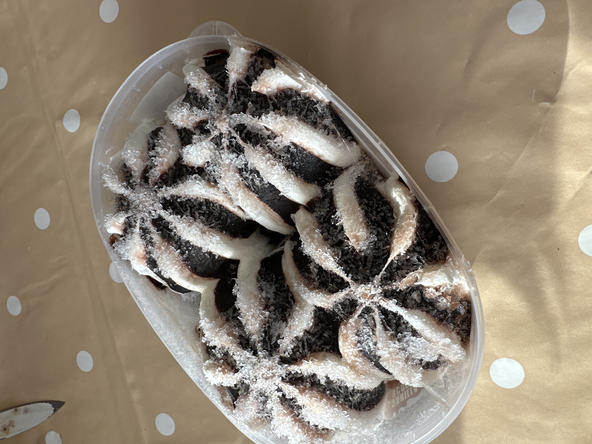 A top-down shot depicts a plastic container filled with frosted chocolate and vanilla ice cream, arranged in a decorative pattern. The container rests on a tan surface adorned with evenly spaced white polka dots. The setting doesn't give enough information to tell what city this is from in Montana, Bulgaria.