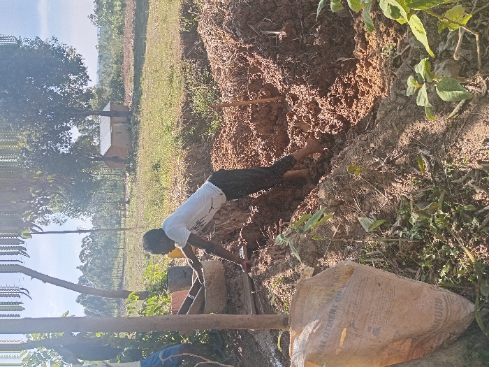 A person is seen outdoors near an earthen structure. They wear a white t-shirt and dark pants and appear to be working or interacting with the ground. A bag sits nearby, and vegetation is visible in the surrounding area. In the background, there's a structure, possibly a building, framed by trees and a bright sky. The photo is taken in a bright, sunny condition.