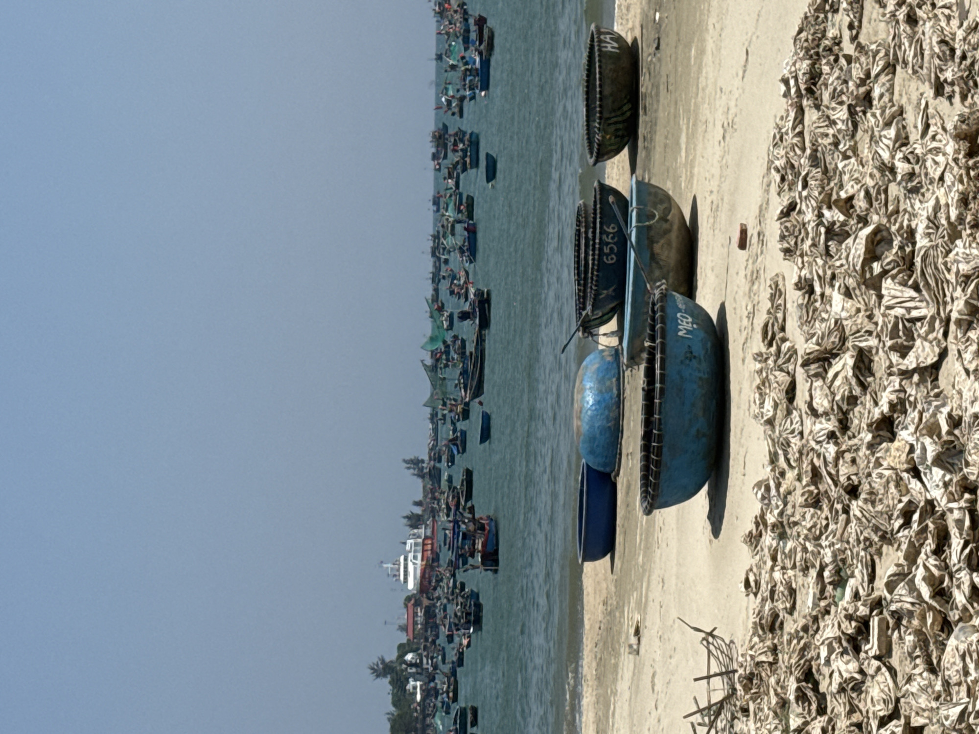 The scene is a coastline in Đà Nẵng, Vietnam. The image shows a beach setting with a multitude of round-shaped coracle boats resting on the sand near the water's edge. The boats display various hues and some have inscriptions in Vietnamese such as "MEO" and "6566," while one has the letters "HA". A portion of the beach is blanketed with dried or cured items, seemingly laid out to dry in the sun. The waters are brimming with numerous other vessels, a mix of larger boats and smaller fishing crafts. The shoreline vegetation consists of palm trees. The backdrop is a clear, pale blue sky.
