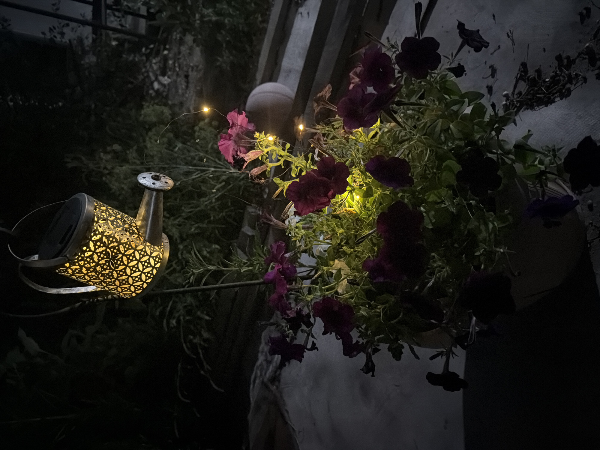 In Semey, Kazakhstan, this image captures a dimly lit outdoor scene at night. A decorative metal watering can, illuminated by an internal light and a solar-powered lantern feature with a patterned design, hangs suspended. Below, a potted plant with dark purple and pink petunia-like flowers is visible, also lit by yellow string lights. The background shows dark foliage and a blurry object, possibly a ball, resting on a ledge or table. The overall setting appears to be a garden or patio area.