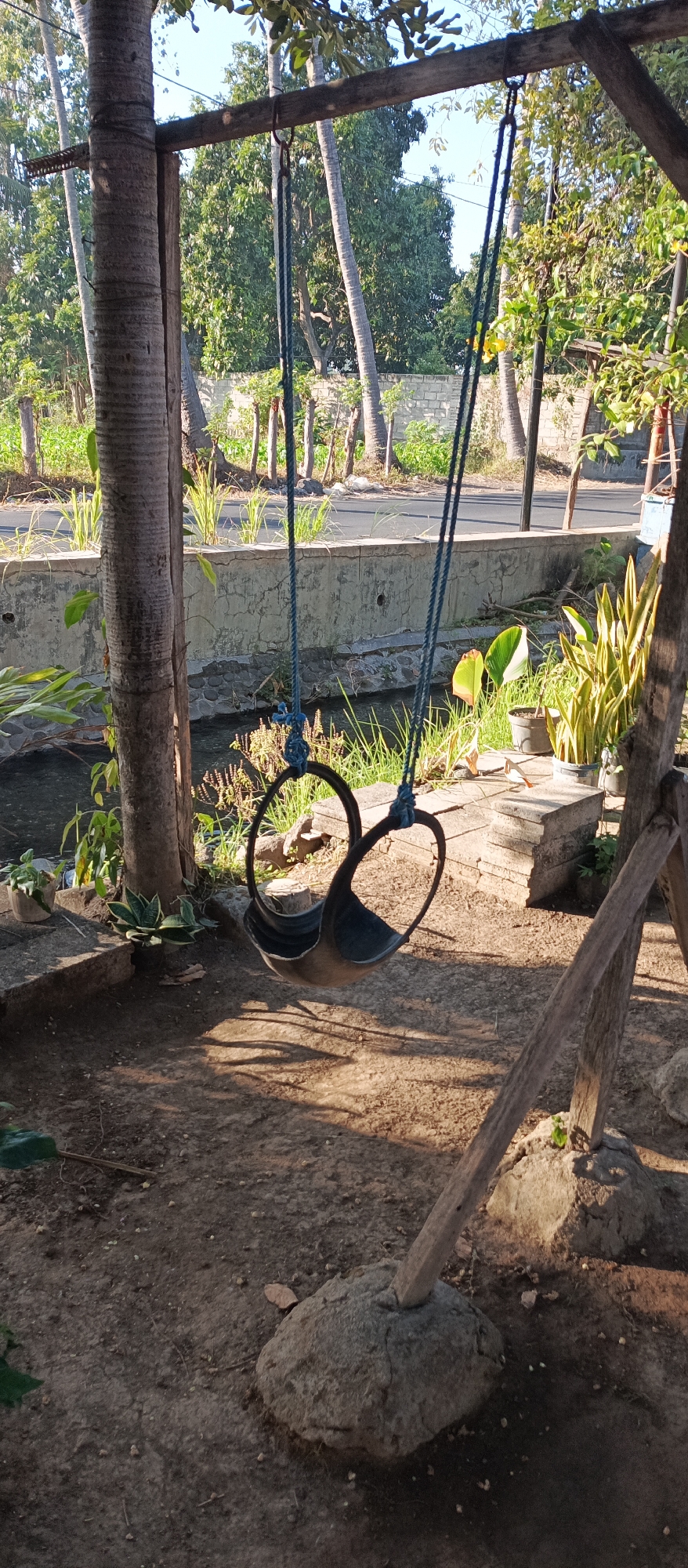 A homemade swing, fashioned from a tire and rope, hangs from a wooden beam supported by a tree trunk and a rustic wooden A-frame. The swing is suspended over a dirt and gravel ground with scattered stones and dry leaves. In the background, a concrete retaining wall separates the yard from a shallow water channel. Beyond the wall, a road is visible, lined with small plants and trees. Further in the distance, lush green foliage and palm trees create a tropical backdrop under a clear blue sky. The scene appears to be set in a residential area in Arjasa, Indonesia, likely a backyard or outdoor living space. There are no people present in the image. The lighting suggests it is daytime, with shadows cast by the swing and supporting structures.