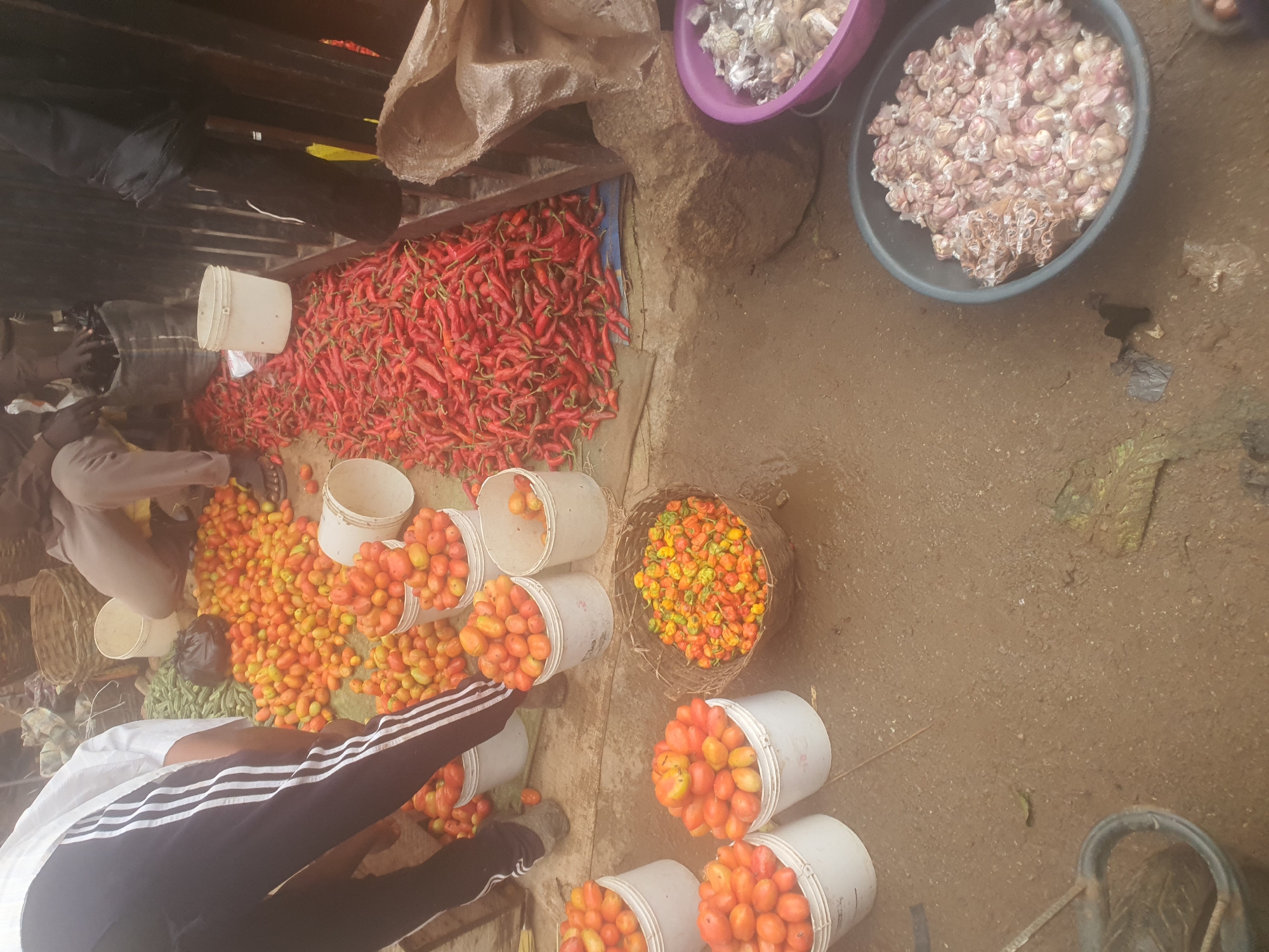 The image depicts an outdoor market scene in Rafin Par, Nigeria, likely a vegetable stall. In the foreground, several white buckets are filled with red tomatoes. To the right of the buckets, a woven basket overflows with small, multi-colored peppers. In the background, a large pile of red chili peppers is spread on the ground, next to a white bucket. Further back, some individuals are visible, partially obscured, wearing casual clothing and appearing to be engaged in the sale or arrangement of produce. One person in the foreground is wearing black pants with white stripes. The ground appears to be damp, suggesting recent rain or water spillage. A few other assorted items, possibly other vegetables or market goods, are visible in the background. The overall impression is one of a busy, traditional market environment.