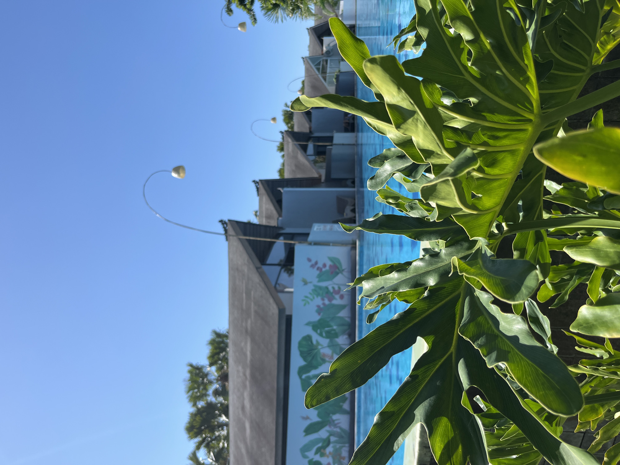 A low-angle, eye-level shot captures a bright, tropical outdoor scene in Kuta Selatan, Indonesia. In the foreground, large, glossy green leaves dominate the frame, obscuring the lower portion of the image. Beyond the foliage, a vibrant blue swimming pool stretches horizontally across the mid-ground, its surface slightly rippled. A white retaining wall with a colorful mural of tropical plants and flowers runs along the edge of the pool. In the background, a row of modern resort buildings with dark, angled roofs is visible under a clear, bright blue sky. Several decorative, curved lamp posts with gold bell-shaped lights are sparsely placed behind the buildings. The scene appears tranquil and inviting, suggesting a resort or hotel setting.