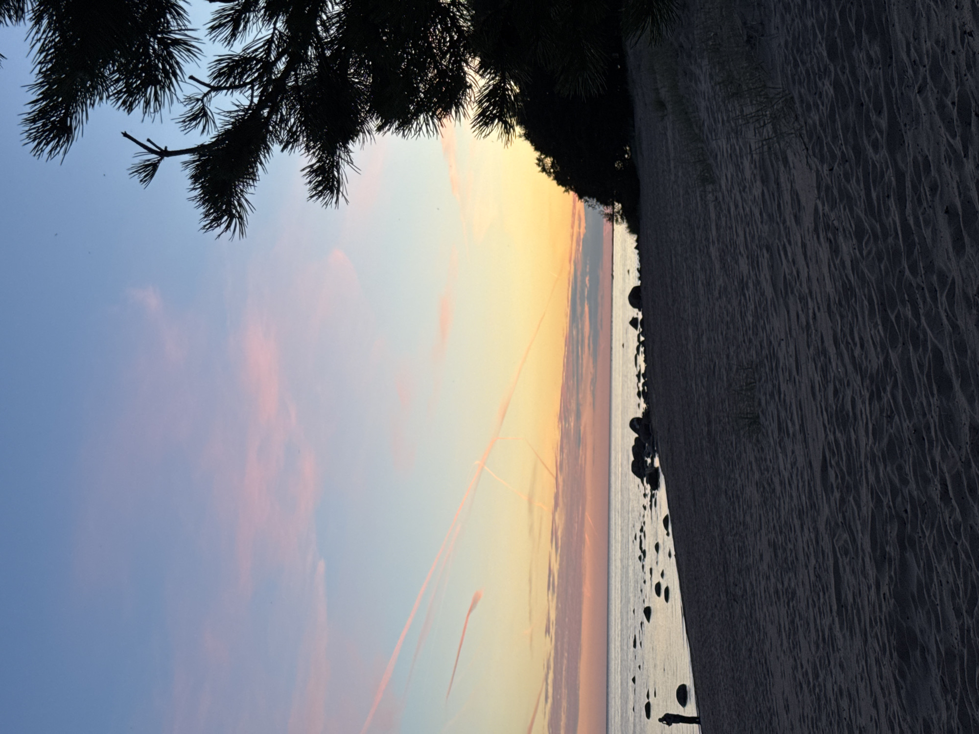 A wide shot captures a beach at dusk in Zelenaya Roshcha, Russia. The sky displays a gradient of colors, from a deep blue at the top to soft pink and orange hues near the horizon. Several faint pink contrails are visible in the sky. The foreground is dominated by dark, rippled sand. The middle ground features the calm, light-colored sea and a rocky shoreline. A lone, silhouetted figure stands near the water's edge on the left side of the frame. On the right side, the dark silhouette of pine tree branches partially obscures the sky and a dense line of trees along the coast. The overall scene is peaceful and serene.