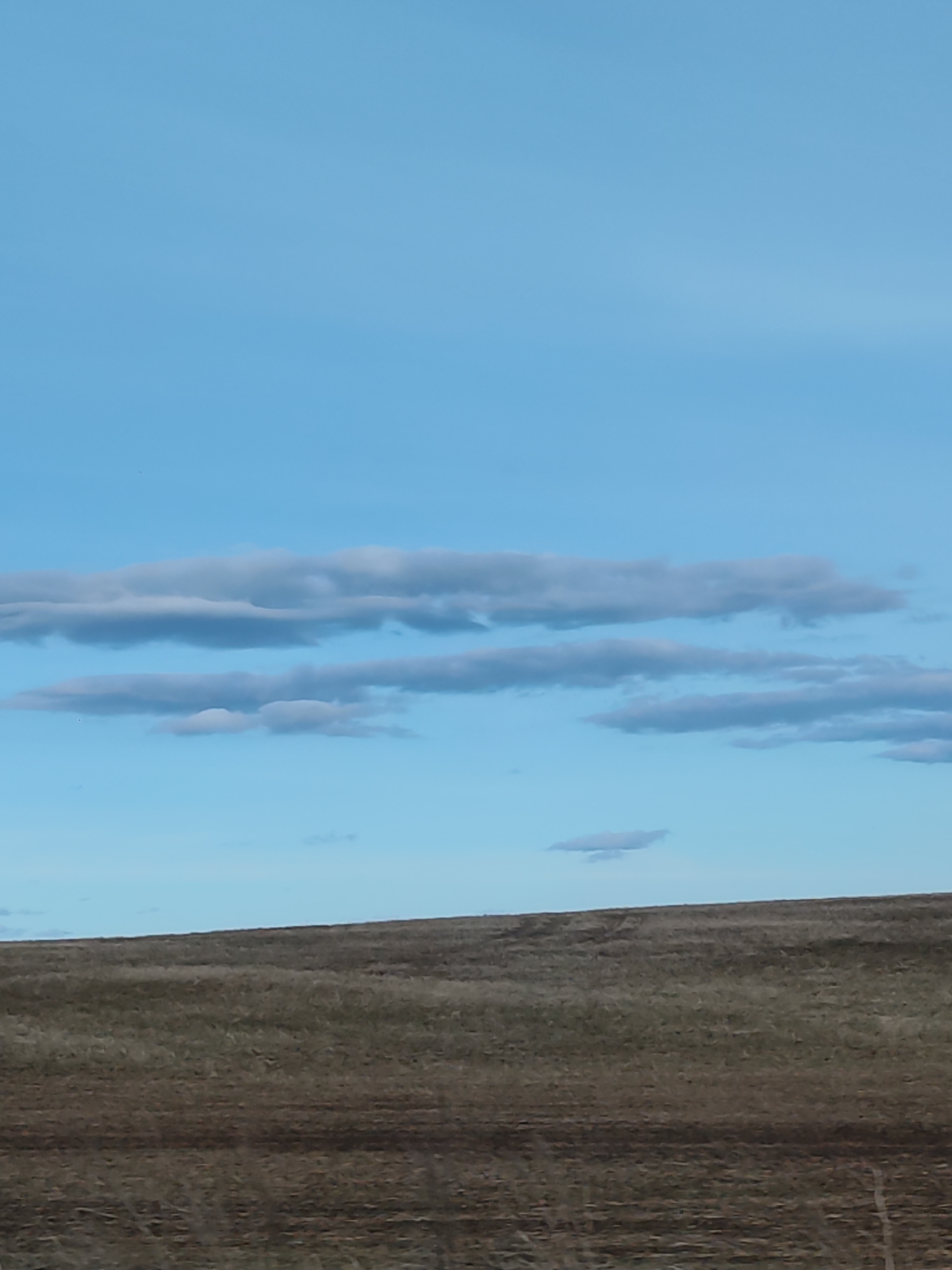 A landscape featuring a field of dry grasses under a blue sky with scattered clouds. The field slopes gently upward, meeting the sky along a horizon line. The sky is a clear blue, with horizontal bands of gray-white clouds. There are no people or animals visible.
Location: Unknown, Unknown.