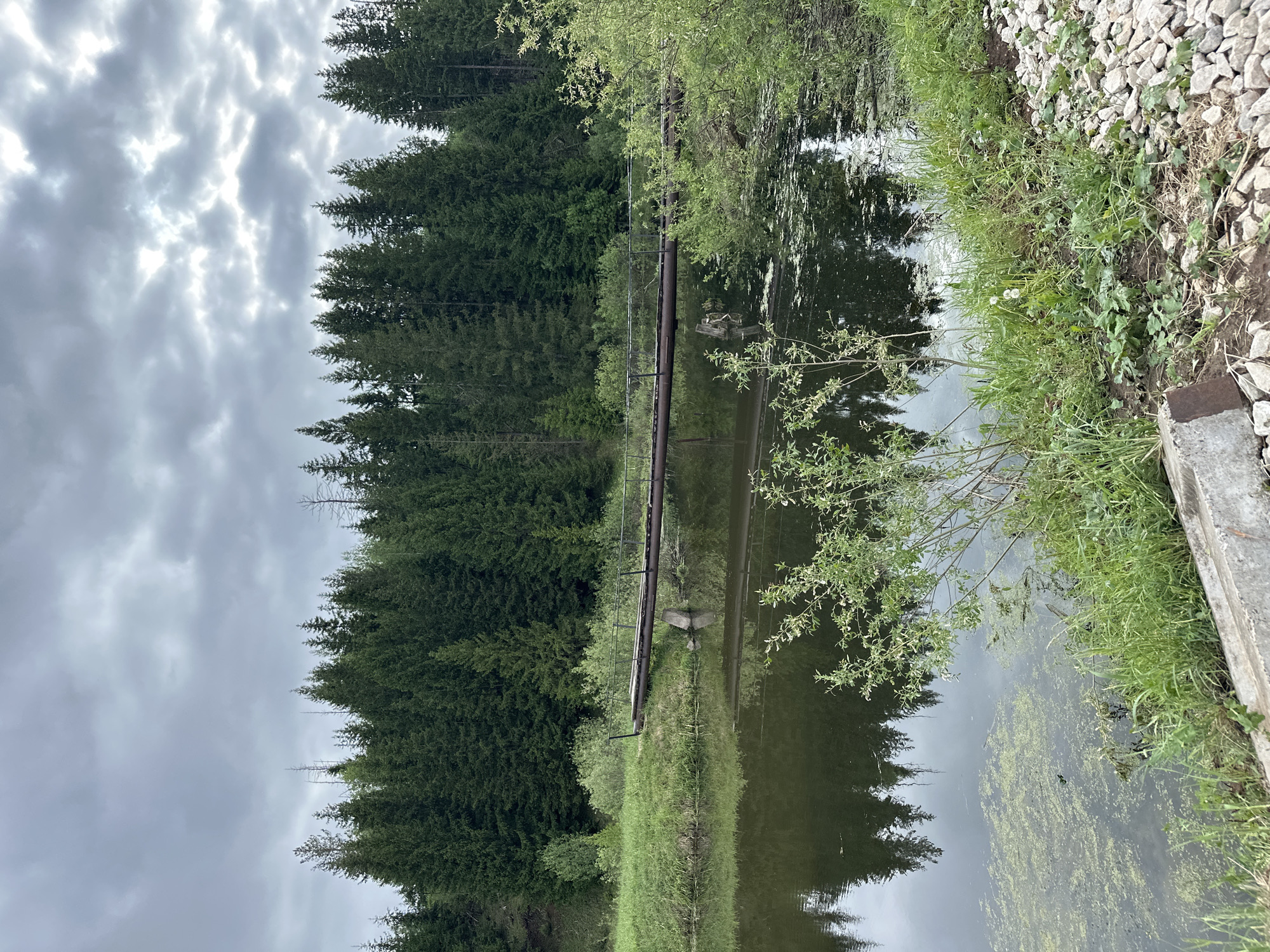 The image captures a still body of water reflecting a dense evergreen forest under a cloudy sky. A narrow strip of land covered in green grass and vegetation divides the water. A utility pole with a ladder extends over the water, its reflection visible. Along the edge of the water, a rocky embankment transitions into grassy vegetation. The overall environment suggests a rural or natural setting. The photo was taken in the city of Среднее Кечево, Russia.