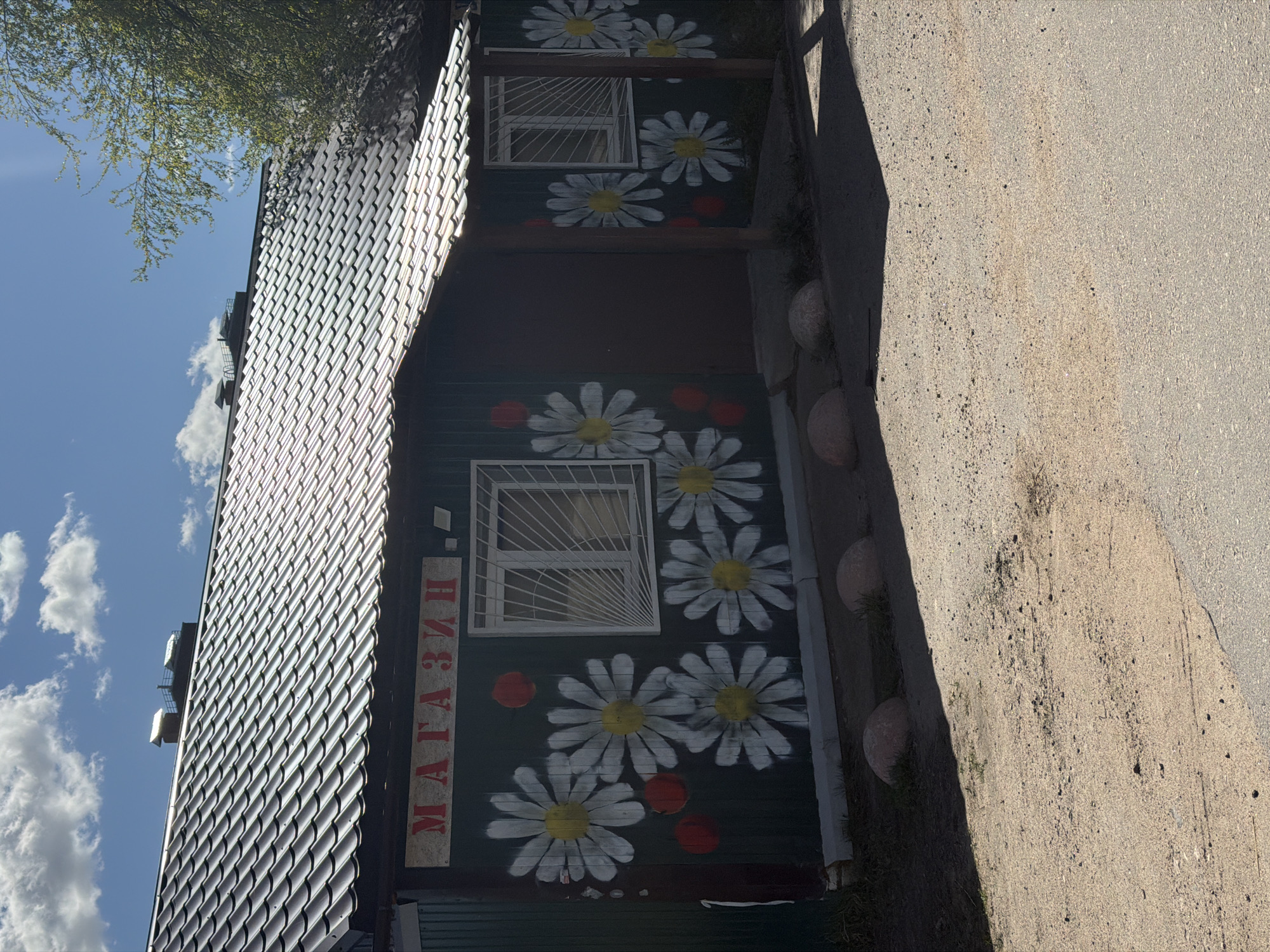 The image shows a one-story building in Янино-2, Russia. The building has a dark green corrugated metal facade adorned with painted white daisies and red circles. The word "МАГАЗИН" (store) is painted vertically in red on a light-colored strip next to a window protected by a white metal grate. The building has a dark grey metal roof. To the left, there is a blue sky with white clouds and a tree branch. To the right is a gray pavement.