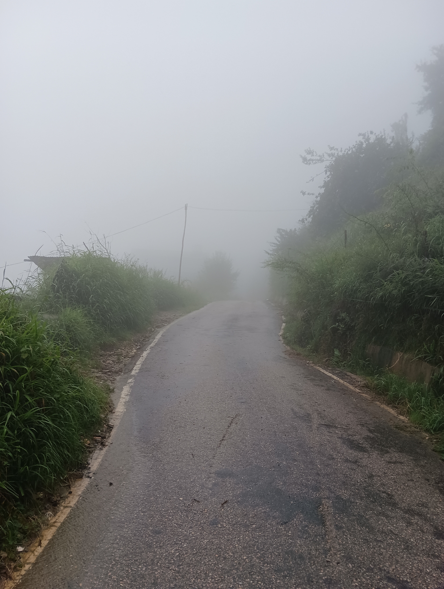 The image depicts a wet, asphalt road winding through a foggy, natural landscape in Siumsa, India. The road is flanked by dense, green foliage on both sides, with tall grasses growing along the edges. A white line marks the edge of the road on the left. In the distance, the fog obscures the view, creating a hazy atmosphere. A single utility pole with wires is visible on the right side of the road, also partially obscured by the mist. There are no people or vehicles visible in the scene. The overall impression is one of a remote, atmospheric mountain road enveloped in fog.