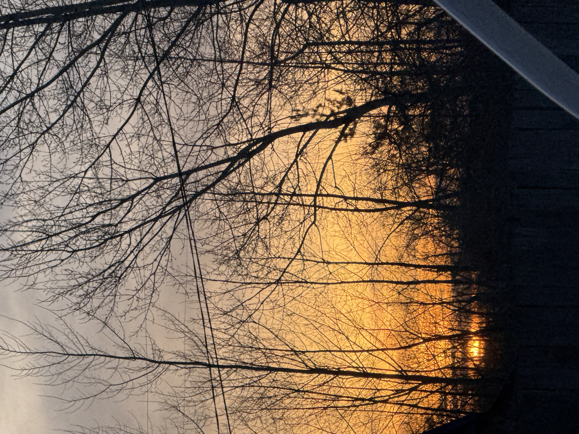 The image captures a sunset or sunrise over Chaikovsky, Russia. The lower sky displays an intense orange-yellow glow with a partially visible solar disk obscured by a dense silhouette of bare deciduous trees and some coniferous foliage. The sky transitions to a lighter, hazy grey-orange in the upper portion. Multiple dark power lines are visible horizontally across the mid-upper frame. In the foreground, a dark, low fence runs horizontally, partially obscured on the far left by an angled, dark structure resembling a roofline. The bottom right corner features a frosted, light-grey, curved object, indicative of a vehicle's interior component. No people, animals, or dynamic actions are present in the scene.