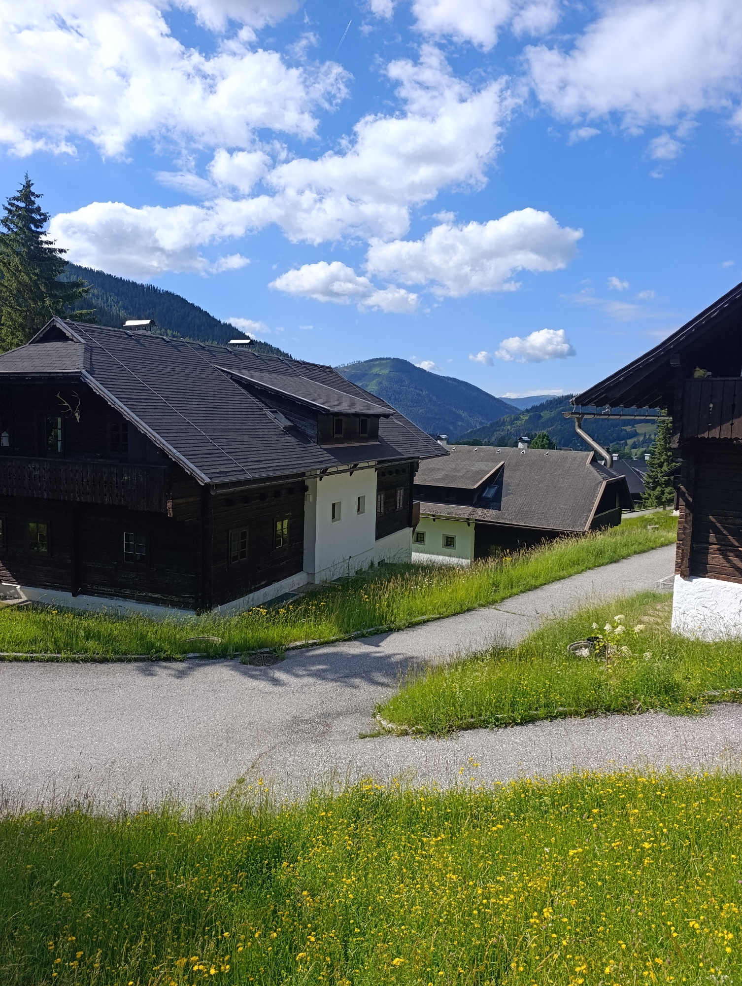 The image depicts a view of rural buildings nestled in the Austrian countryside, specifically in Sankt Oswald. The foreground is dominated by a lush green meadow dotted with numerous small yellow wildflowers. Two winding paved paths, likely roads or walkways, traverse the grassy terrain, with one path leading towards the right edge of the frame and another curving into the middle ground.
Several traditional wooden chalets are visible. The largest chalet on the left features a dark wooden facade, a steep dark roof, and several windows. A balcony runs along the upper level, adorned with decorative wooden railings. A deer skull mounted on the facade is a prominent detail. Adjacent to this chalet, a section of the building is painted white, with a few square windows.
Further into the scene, more chalets with dark roofs are interspersed with evergreen trees and rolling green hills that recede into the distance. The background is characterized by a dramatic mountain landscape under a bright blue sky filled with fluffy white clouds. A faint contrail from an aircraft is visible in the upper right portion of the sky. The overall atmosphere is serene and idyllic, characteristic of a mountain village during daytime. There are no people or animals visible in the frame.