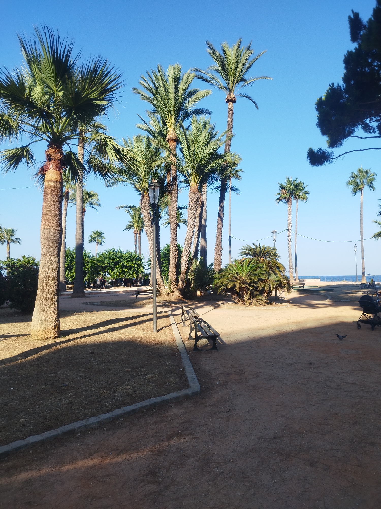 The image depicts a sunny day in Antibes, France, likely near the coast. The scene is a park or promenade with numerous palm trees of varying heights and types. In the foreground, a path made of packed dirt or sand leads through the park. To the left, a patch of dry grass is bordered by a concrete edge. Several park benches are visible throughout the scene. A lamppost stands near the center, and another is further in the background. In the middle ground, there are lush green bushes and more palm trees. In the background, the blue sea is visible under a clear blue sky. To the far right, a stroller is parked. A few pigeons are on the ground. The lighting suggests it is either morning or late afternoon, with long shadows cast by the palm trees across the ground. The overall impression is one of a peaceful, outdoor recreational area.