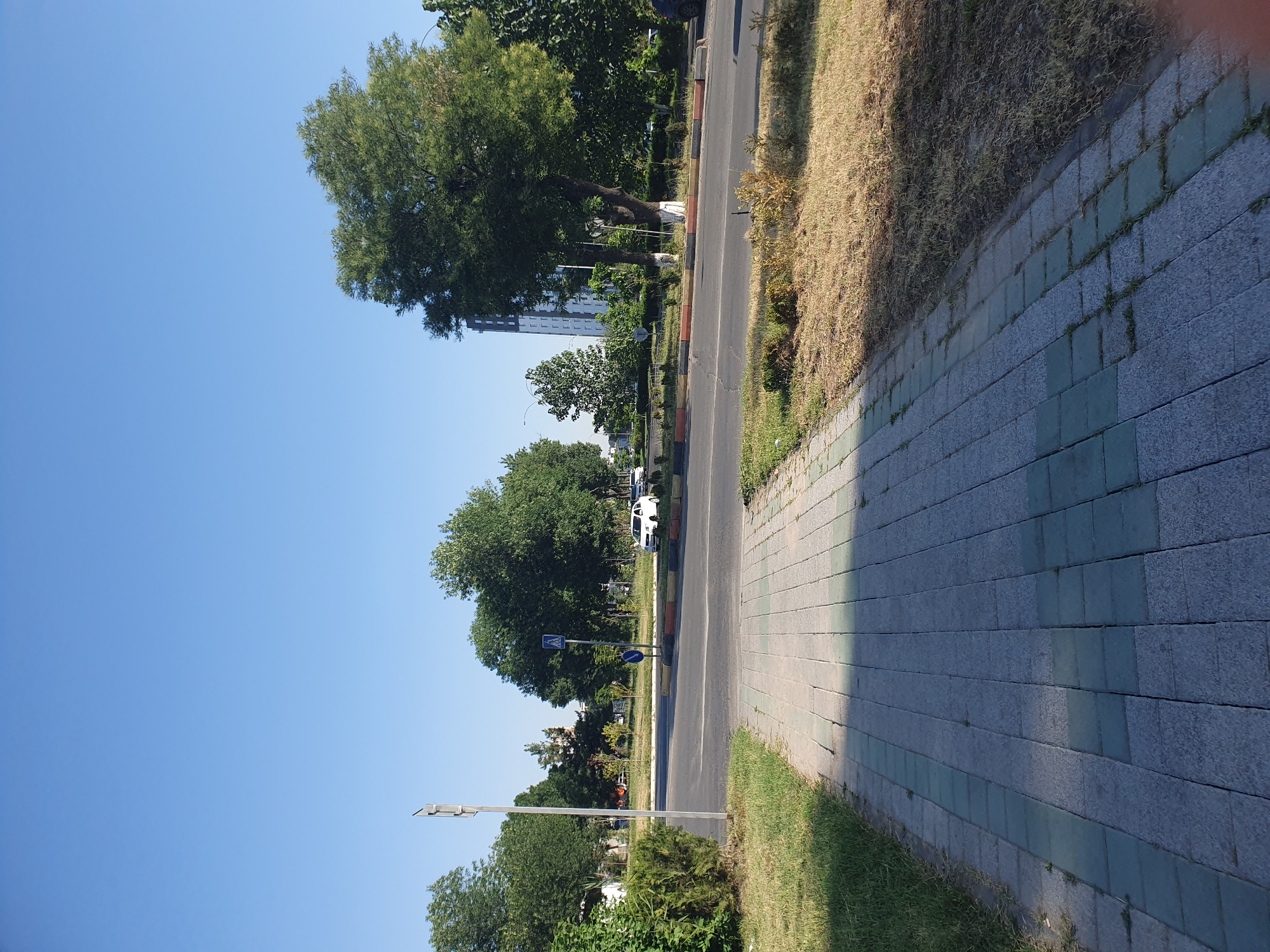 This is a daytime, eye-level, outdoor, full shot of a sidewalk in Tashkent, Uzbekistan. The sidewalk is made of gray and green square paving stones and is bordered by dry, brown grass and some small green bushes. Across the street, there is a road with several cars, including a white car and a dark-colored car, and a pedestrian crossing sign. Trees line the street, and a tall, modern building is visible in the background. The sky is clear and blue.
