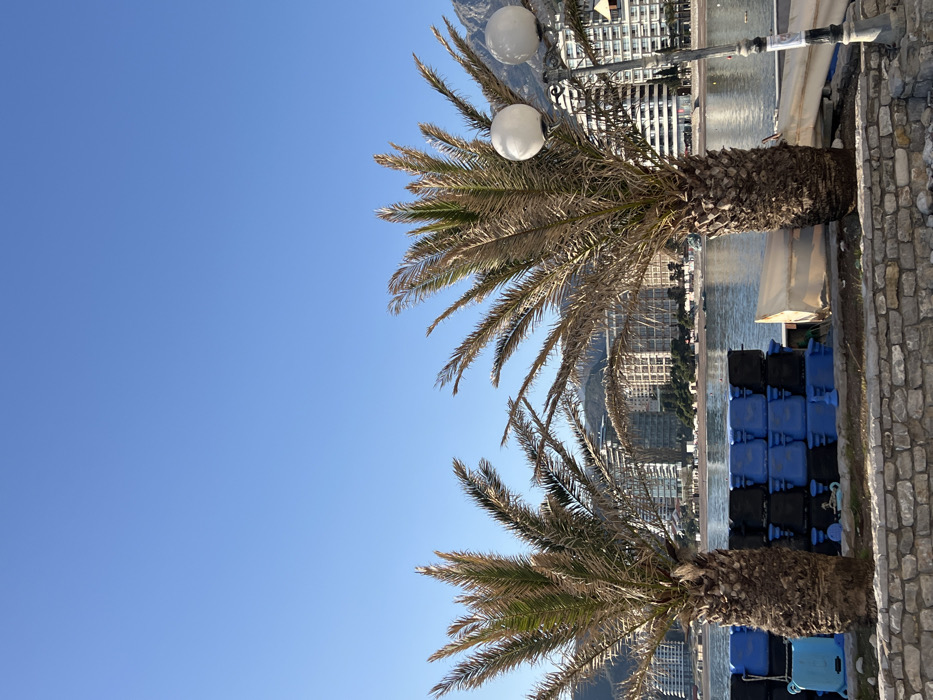 The image displays a coastal scene in Bečići, Montenegro, under a clear, cloudless blue sky. In the foreground, a low stone wall, composed of irregular grey blocks, runs horizontally across the bottom of the frame. Behind this wall, two palm trees with textured brown trunks and predominantly green-brown fronds are central subjects. To the right, a dark grey street lamp post with two spherical white light globes extends vertically from behind the right palm tree. Between the palm trees and the water's edge, a light-colored, possibly overturned, small boat is present. To the left, behind the left palm tree, several blue and black plastic containers are stacked. The midground features a calm expanse of water, consistent with a bay, reflecting the sky. Beyond the water, a beach is visible, bordered by multiple multi-story buildings, characterized by light-colored facades and numerous balconies, lining the distant shore. Mountains form the background behind the buildings. No individuals, specific actions, or interactions are discernible within the frame.