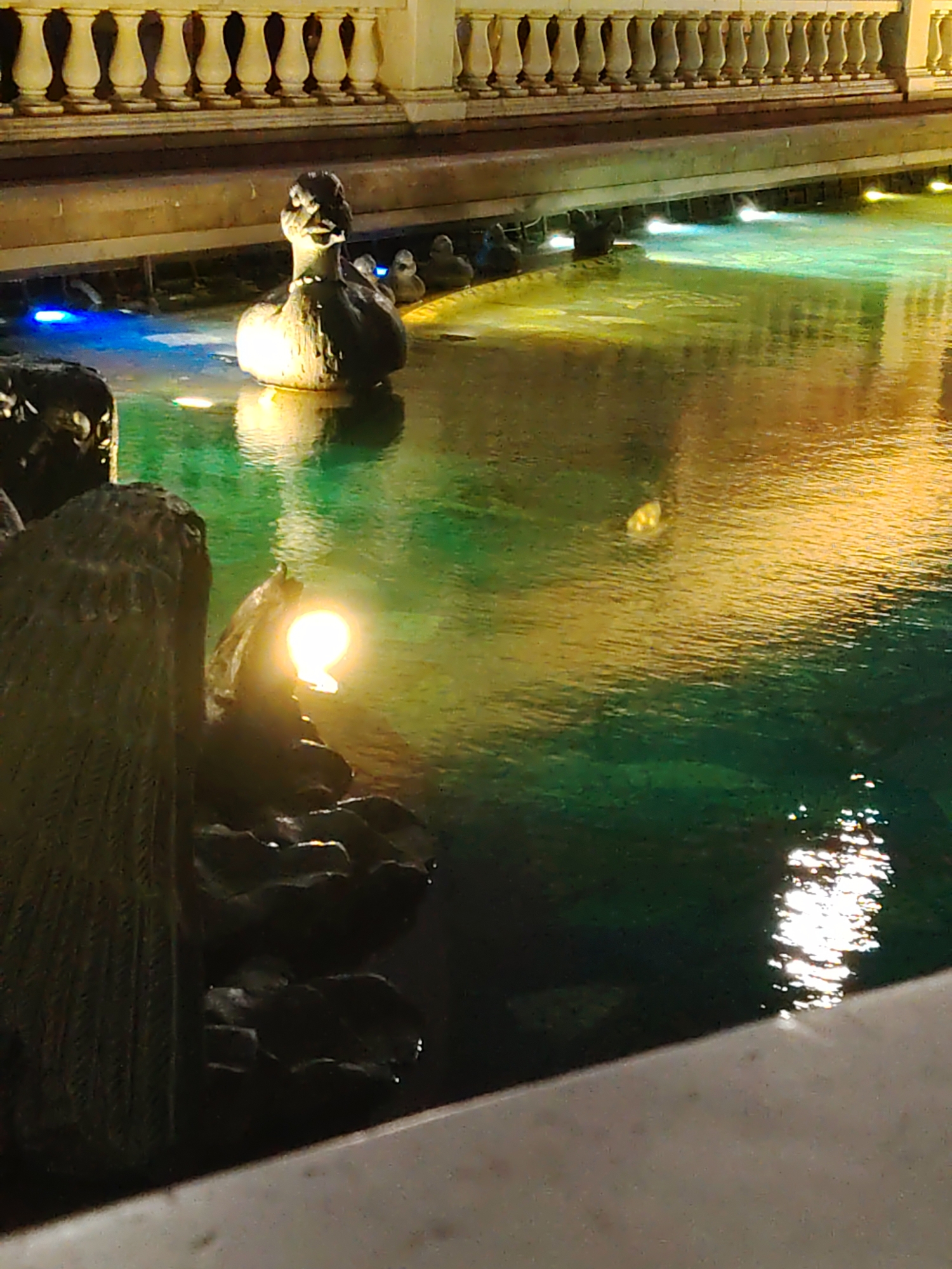 A dark, low-light image shows a fountain at night. In the foreground, a dark sculpture with rough textures is partially visible. The main subject is a duck figure, appearing to be made of stone or metal, positioned in the water. Behind the duck, several smaller duck figures are lined up. The water itself is illuminated with colored lights, primarily green and blue, creating reflections on the surface. The background features a balustrade with ornate railings and columns, suggesting an architectural setting, possibly a public square or garden. The overall impression is one of a decorative nighttime scene.