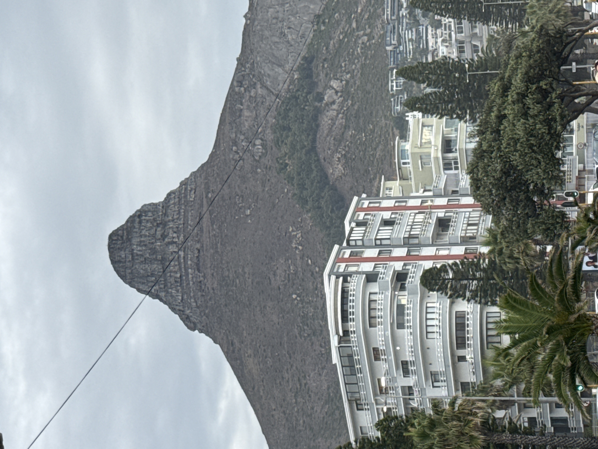 The image shows Lion's Head mountain in Cape Town, South Africa, adjacent to a building with multiple balconies. In the foreground are palm trees and other greenery partially obscuring adjacent buildings. The sky is overcast.