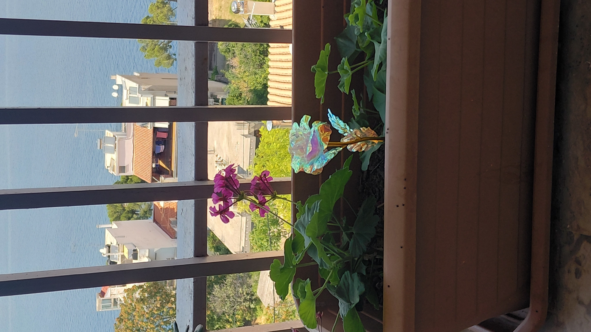 A rectangular planter box containing plants and a decorative rose sits on a balcony railing. The planter is brown and filled with dark soil. In the planter, there are green leaves and two flowers, one set of pink flowers and a single iridescent rose. In the background, behind a dark metal railing, is a body of water, buildings with light-colored walls and orange tile roofs, and trees. The overall scene suggests a residential setting, possibly with a view of the sea, in Municipal Unit of Aegio, Greece.