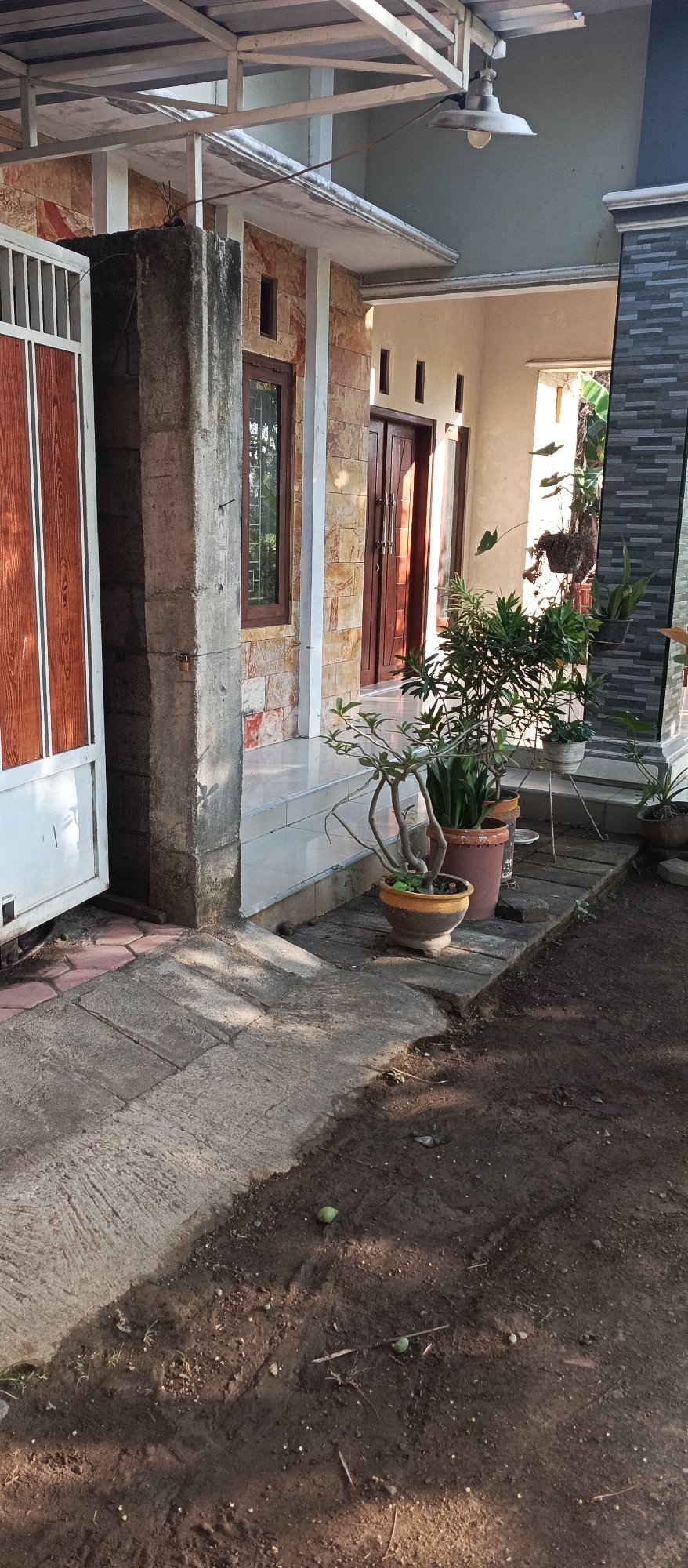 The image shows the exterior of a residential building, likely in the city of Arjasa, Indonesia, during daylight. In the foreground, a concrete pathway leads towards the entrance of the house. The pathway is partially covered by shadows cast by an overhead structure. To the left of the pathway is a white metal gate with wooden panels. Adjacent to the gate is a substantial, weathered concrete pillar.
The house itself features a facade constructed with stone-like tiles in shades of beige and brown. A dark-framed window with a decorative pane is visible on this facade. The entrance to the house consists of double wooden doors. A covered porch area extends from the house, supported by white pillars. Several potted plants are arranged on the porch and along the pathway, including a multi-branched plant in a yellow and brown pot and a taller green plant in a terracotta pot. One plant is suspended in a hanging basket.
The environment includes dark, loose soil to the right of the pathway, with a few small green fruits or objects scattered on it. The overall scene depicts the entrance to a house with a garden area.