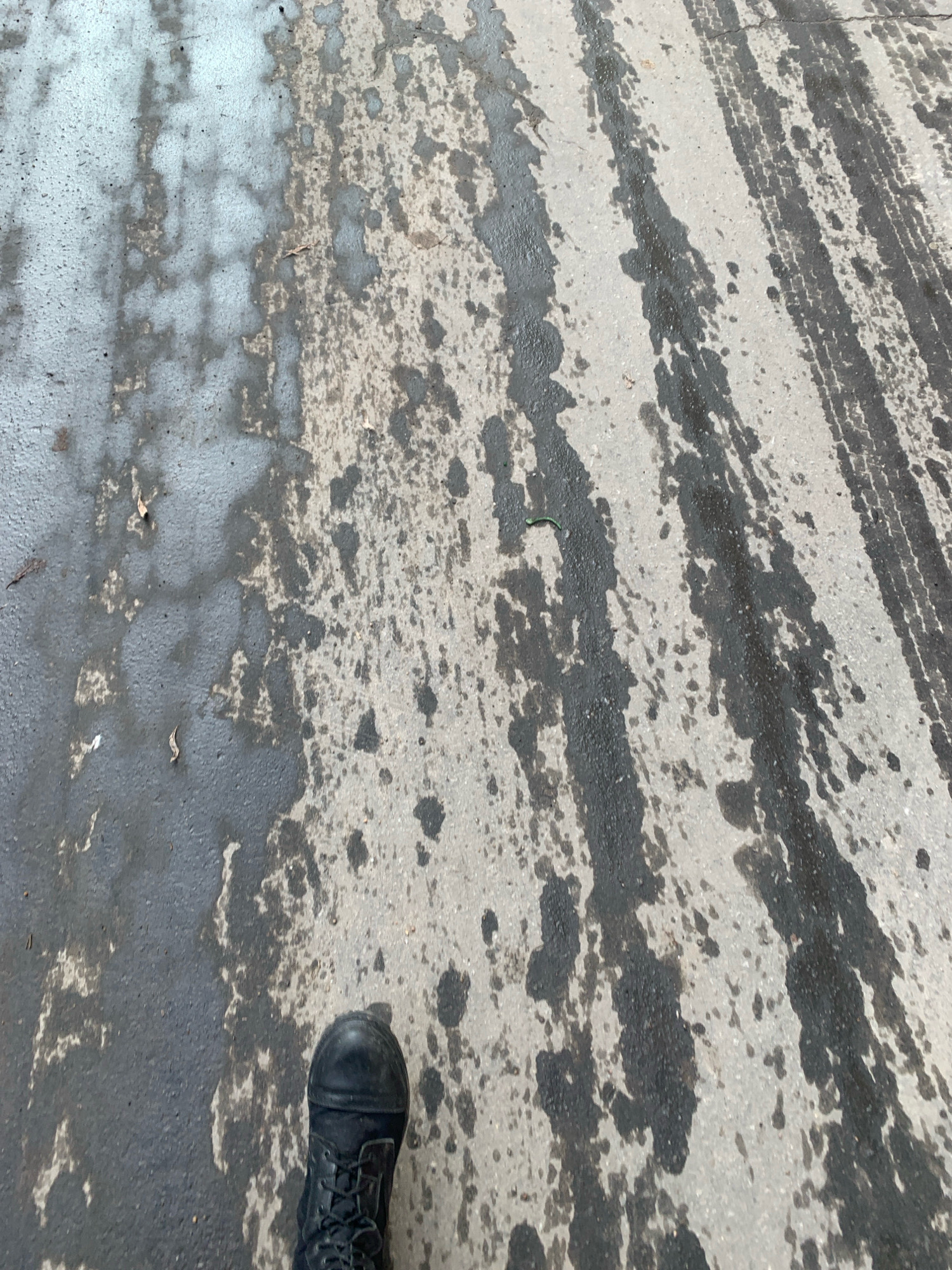 A close-up, high-angle shot shows a boot stepping onto a wet, asphalt surface. The asphalt is marked by tire tracks and scattered dark splotches, possibly oil or water. On the left side of the image, the surface appears lighter and more uniformly wet. A single green caterpillar is visible on the darker asphalt. The scene is consistent with an outdoor environment in Arkhangelsk, Russia, likely during a period of rain or melting snow, given the wet conditions and the presence of what could be salt residue on the ground. The boot is black and laced.