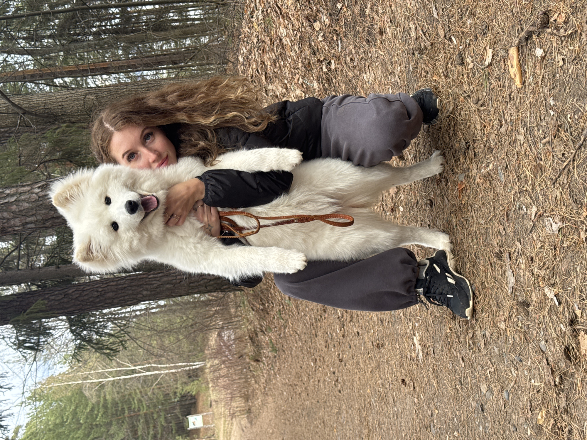 The image captures a heartwarming moment between a young woman and a white Samoyed dog on a natural path, likely in a forest or park in Noviy, Russia. The woman, with long wavy light brown hair, is looking directly at the camera with a gentle smile. She is wearing a black puffer jacket, grey sweatpants, and black and white sneakers, with rings visible on her fingers. She is holding the fluffy white Samoyed dog, which also gazes towards the camera with a joyful, open-mouthed expression, revealing its dark eyes and nose. A brown braided leather leash is visible in the woman's hand, attached to the dog.
The setting is an outdoor trail, with the ground covered in dry brown leaves, pine needles, and small twigs, suggesting either autumn or early spring. A clear dirt path stretches into the background. The surroundings are dominated by tall trees, mostly conifers, forming a dense forest. The lighting is natural and diffused, indicating daytime, possibly under an overcast sky or within the shade of the trees. In the far distance, a small, unreadable sign or marker can be faintly seen. The overall mood is one of affection and happiness between the woman and her pet, enjoying time together in nature.