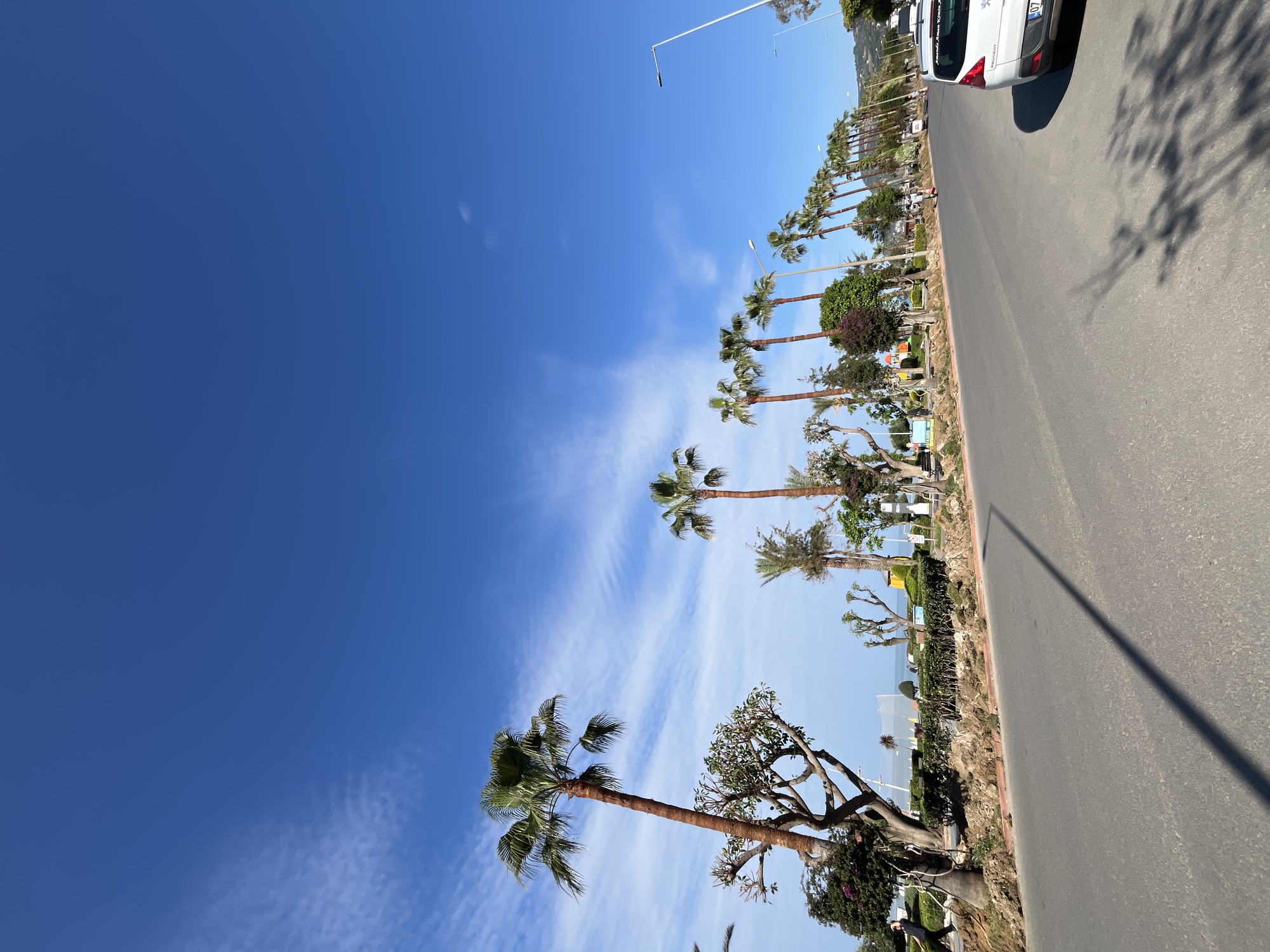 A street scene in Alanya, Turkey, features a row of palm trees lining a road under a clear blue sky. The asphalt road runs parallel to the trees, with a white car visible towards the top right corner of the frame. A few people are indistinctly visible among the trees, suggesting a park or recreational area alongside the road. Street lamps are interspersed among the palm trees. The road's surface is marked with shadows, possibly from the trees or other objects. In the background, the sea horizon is faintly visible.