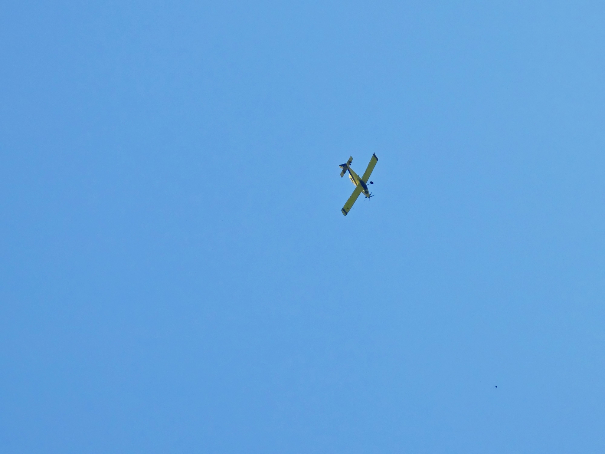 A single-engine yellow airplane is captured in mid-flight against a clear, vibrant blue sky. The aircraft is viewed from below and to its right, revealing its wingspan and propeller. The airplane appears to be a crop duster or a similar agricultural aircraft. In the lower left quadrant of the image, a faint, dark speck suggests a distant bird in flight. The sky is cloudless and takes up the majority of the frame, suggesting an open-air environment. The composition emphasizes the aircraft's solitude against the vast expanse of the sky. The image provides no specific visual cues indicating a location within the city of Larnaca, Cyprus.