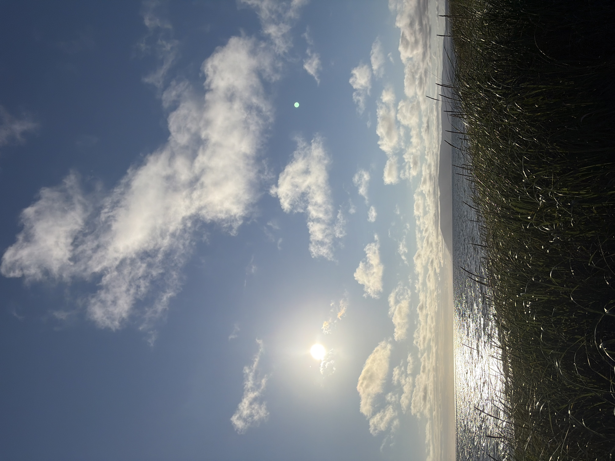 The image depicts a natural scene of a body of water, likely a sea or large lake, under a bright, partly cloudy sky. In the foreground, tall, dark green grass or reeds dominate the lower portion of the frame, suggesting a shoreline or dune environment. The water is choppy, reflecting the sunlight intensely, creating a shimmering effect across its surface. In the distance, a low-lying landmass, possibly an island or a distant coast, is visible as a dark silhouette against the horizon. The sky is a vibrant blue, with scattered white and grey clouds. The sun is visible as a bright, almost overexposed orb in the upper left quadrant, casting a strong glare on the water and illuminating some of the clouds. A small, faint green circular object is visible in the upper right quadrant of the sky. The scene conveys a sense of open space and natural beauty, with the elements of water, sky, and vegetation being prominent. There are no people or man-made structures visible in the image. The location is identified as Ozerskoe, Russia.