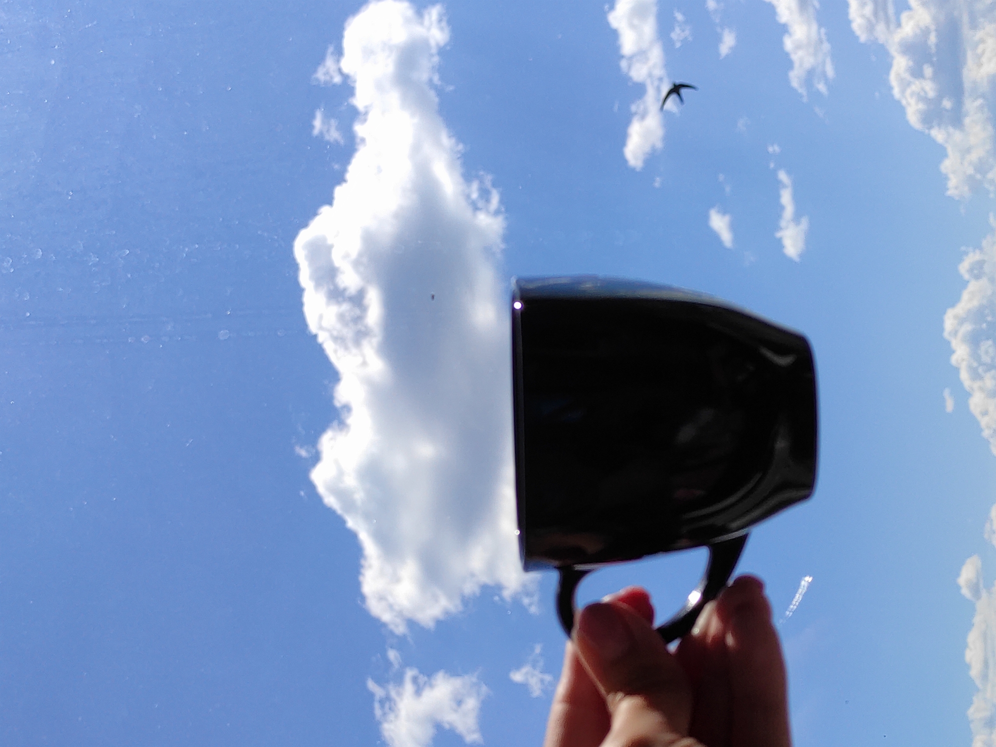 A hand holds a black mug against a bright blue sky dotted with fluffy white clouds. A small bird in silhouette is visible in flight to the right of the mug. The image appears to be taken from a window, as evidenced by some streaks and smudges on the glass. There are no discernible city landmarks or environmental features to identify the specific location within Chaikovsky, Russia. The focus is on the mug and the sky, creating a sense of a brief moment captured outdoors.