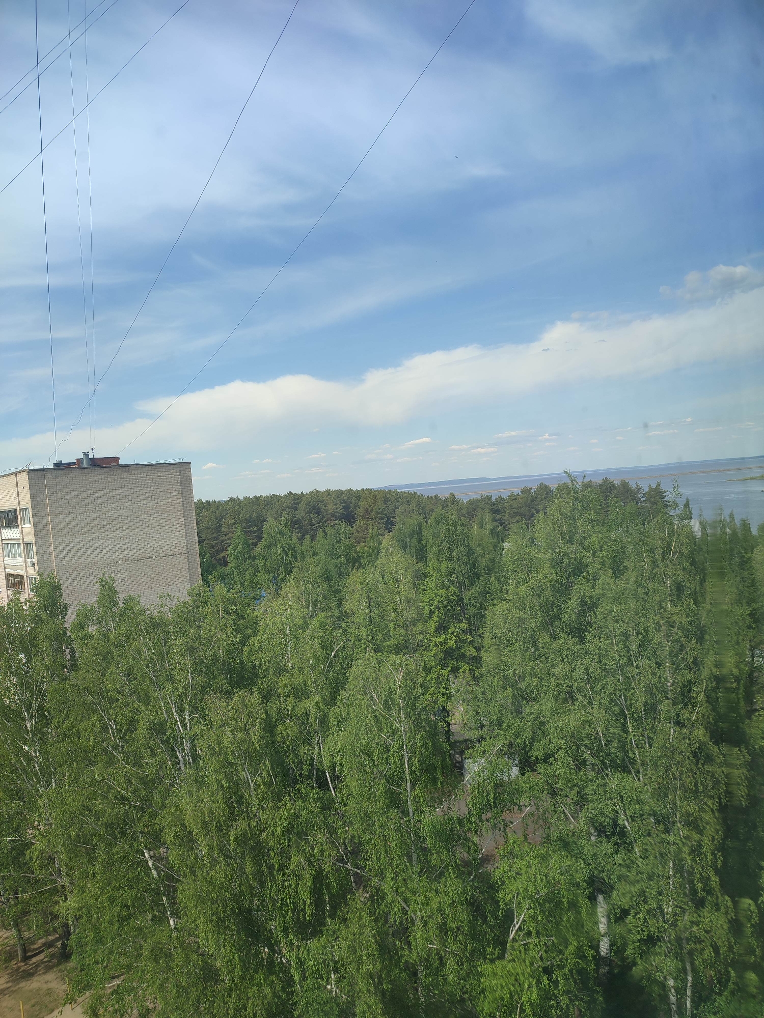 The image shows a view from an elevated position, possibly from a window in a building. The foreground is dominated by green trees, specifically birch trees identified by their distinctive white bark. To the left of the trees is a multi-story brick building with a flat roof, which appears to be a residential structure. In the background, beyond the trees, there is a body of water that appears to be a lake or wide river with a visible shoreline in the distance. The sky above is partly cloudy with blue patches visible between the clouds. Power lines are visible in the upper left corner, running diagonally across the sky. The location is in an urban area adjacent to a natural landscape.