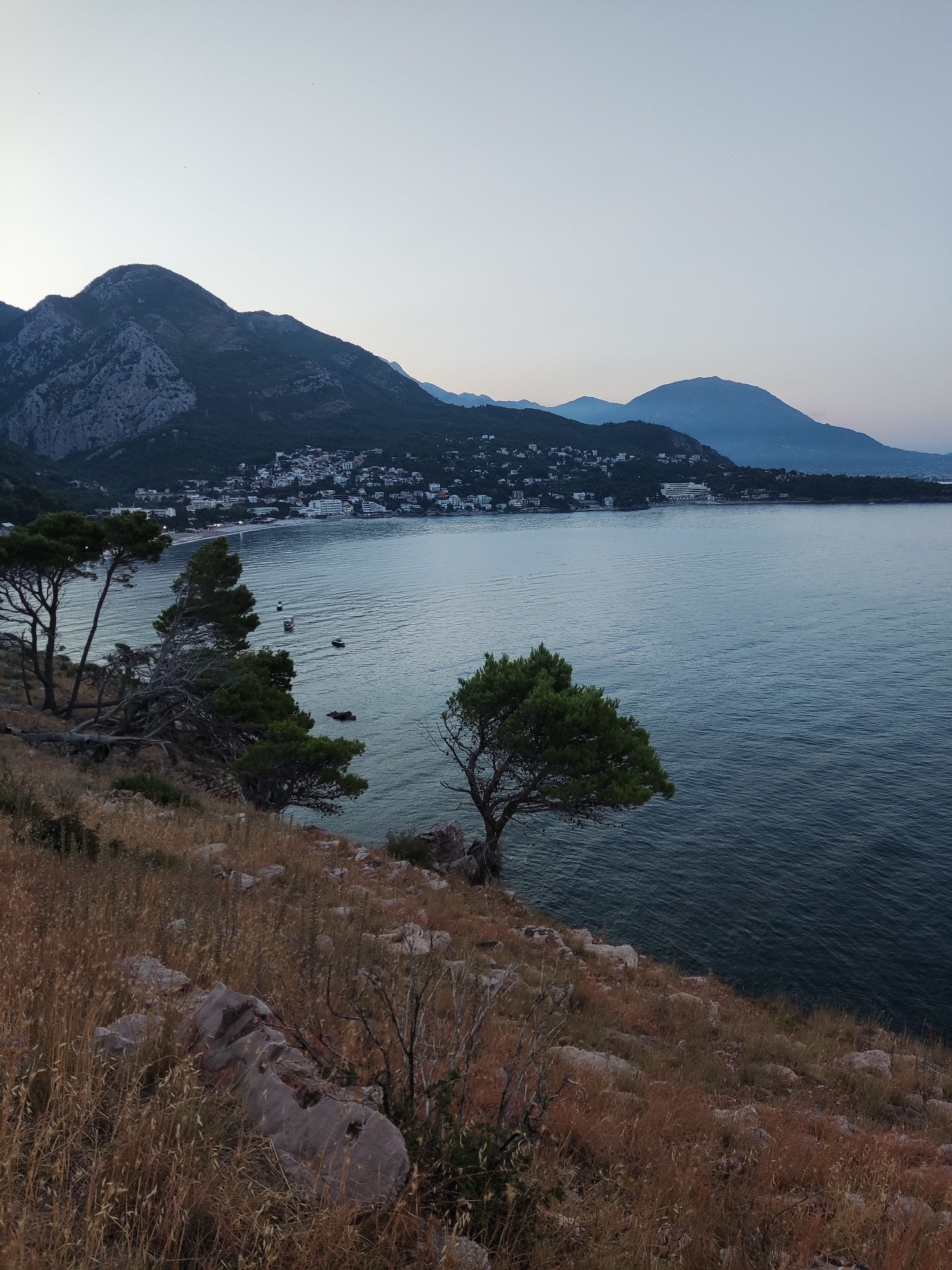 The image captures a serene coastal landscape in Sutomore, Montenegro, likely taken during the late afternoon or early evening. In the foreground, dry, golden grasses and rocky terrain dominate the cliffside, with several pine trees sparsely scattered across the slope. One particularly prominent pine tree with vibrant green foliage stands on the right, leaning towards the sea. Further down the slope, other pine trees are visible, some with fallen branches suggesting age or natural erosion.
The middle ground features the calm, deep blue waters of the Adriatic Sea, with small ripples indicating a gentle breeze. Several small boats are dotted on the water's surface. Along the coastline, a white-sand beach is discernible, backed by a densely populated town with white buildings. The town stretches along the bay, nestled at the foot of rolling, dark green hills.
In the background, a series of majestic mountains rise, their peaks silhouetted against a pale, clear sky. The mountains are rugged and rocky, with some appearing to be covered in dark vegetation. The overall atmosphere is tranquil and picturesque, showcasing the natural beauty of the Montenegrin coastline. There are no people or discernible actions in the image.