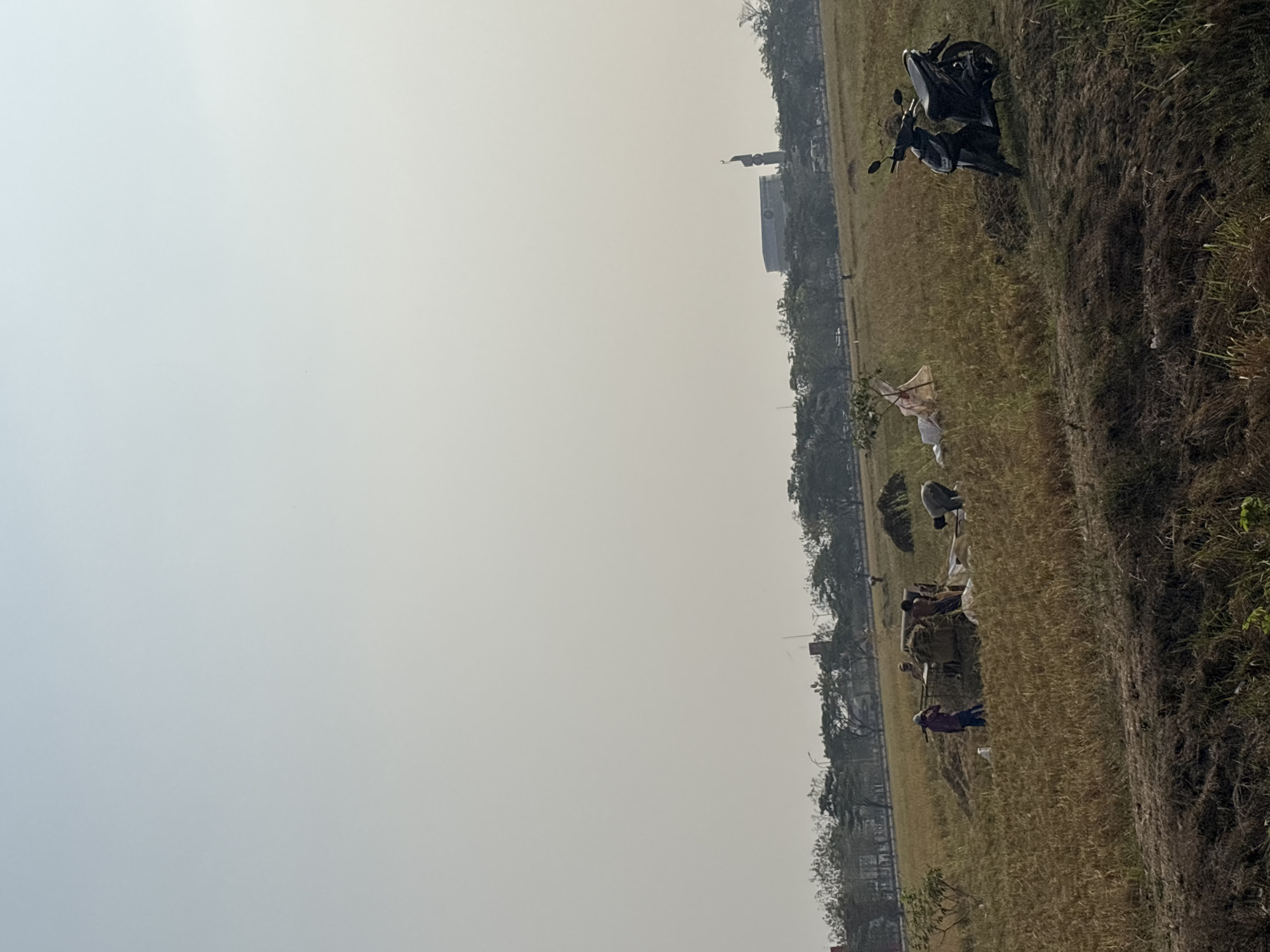 In Salawana, Indonesia, a rice paddy is being harvested under a hazy sky. Several individuals are actively engaged in the process, some are using a threshing machine while others are piling harvested rice. A motorcycle is parked on the edge of the field. In the distance, trees and buildings, including a prominent mosque, are visible. The scene depicts rural agricultural activity within a developing urban landscape.