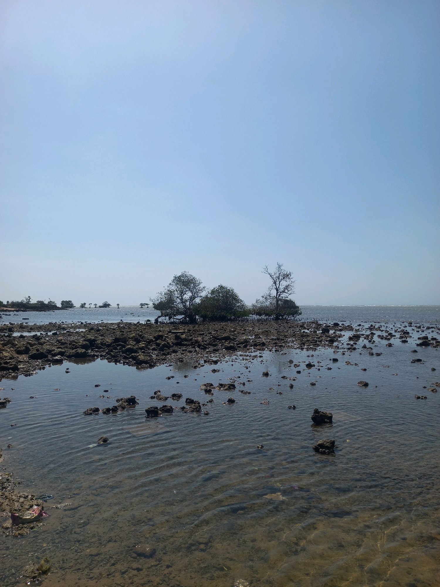 The image depicts a coastal scene in Larangan Sorjan, Indonesia, characterized by a rocky shoreline and shallow water under a clear sky. In the foreground, the water is calm with gentle ripples, revealing a sandy bottom littered with small rocks and pebbles. Some scattered debris, including plastic, is visible on the left side of the frame.
The midground features a more extensive collection of rocks and tide pools. Several mangrove trees with exposed roots are growing out of these rocky areas and in the shallow water, indicating a coastal mangrove ecosystem. The trees are varied in size and foliage, with some appearing more sparse than others. Further in the distance, more mangrove clusters and islands with sparse vegetation are visible on the horizon.
The background consists of a wide expanse of calm water stretching towards the horizon, meeting a clear, light blue sky. The overall impression is one of a serene, natural coastal environment, likely at low tide, showcasing the unique flora and geological features of the area. There are no people or animals visible in the image.