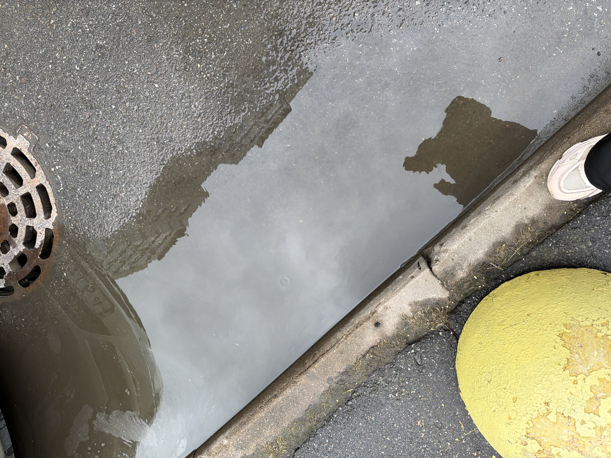A top-down perspective captures a puddle on an asphalt street in Saint Petersburg, Russia. The puddle reflects the silhouette of a building and another indistinct shape. A section of a manhole cover is partially submerged on the left side of the puddle. The puddle is bordered by a concrete curb. Adjacent to the curb on the right side is a partially visible, peeling yellow spherical bollard. A foot with a white shoe is visible at the curb near the bollard. The overall environment suggests a damp urban street scene.