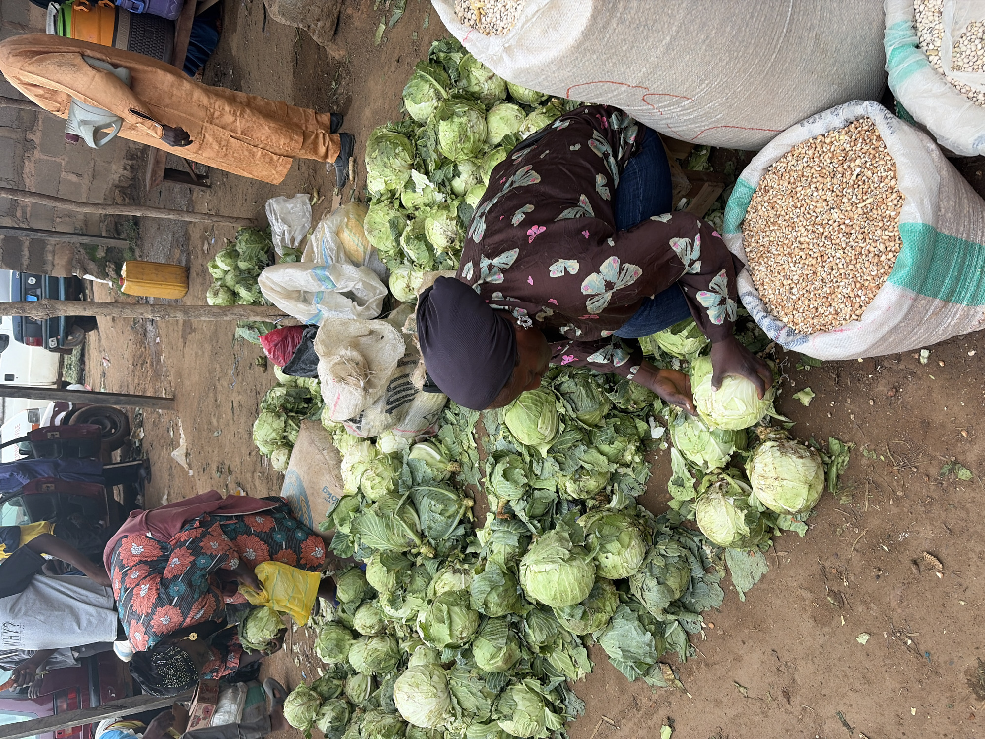 This is a vertical, medium shot of an outdoor market scene in Gura Top, Nigeria. A woman wearing a dark headscarf and a brown patterned shirt with butterflies and flowers is bent over a large pile of green cabbages, holding one in her hands. She is wearing blue jeans. In front of her, to the right, is a large white sack filled with grain, possibly maize or beans. To the left of the cabbage pile, a woman in a red and orange floral dress and a black headscarf is visible, holding a yellow plastic bag. In the background, a man in a tan robe is standing, holding a grey jerrycan. Other people and market stalls are partially visible in the background, along with some vehicles. The ground is covered with reddish-brown soil and scattered debris.