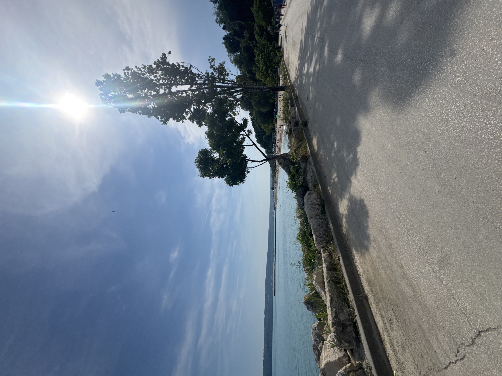 A sunlit, wide-angle image captures a coastal scene in Varna, Bulgaria, featuring a paved pathway running parallel to a beach and the Black Sea under a clear blue sky. The bright sun in the upper right corner produces a strong vertical lens flare, silhouetting a tall tree on the right side of the path. A smaller, multi-trunked tree stands to the left of the path, near a rock-lined barrier separating it from the sea. Numerous people are visible on the sandy beach in the mid-ground, while others walk along the paved path on the far right. The calm, light blue-green sea extends to a distant horizon, where a long breakwater or pier is discernible. Across the bay, a low-lying, green-brown landmass forms the distant skyline. The right side of the image is bordered by a densely wooded hill. Strong shadows from the trees are cast across the cracked asphalt path, indicating high sun. A small, dark bird is visible in the upper left sky.