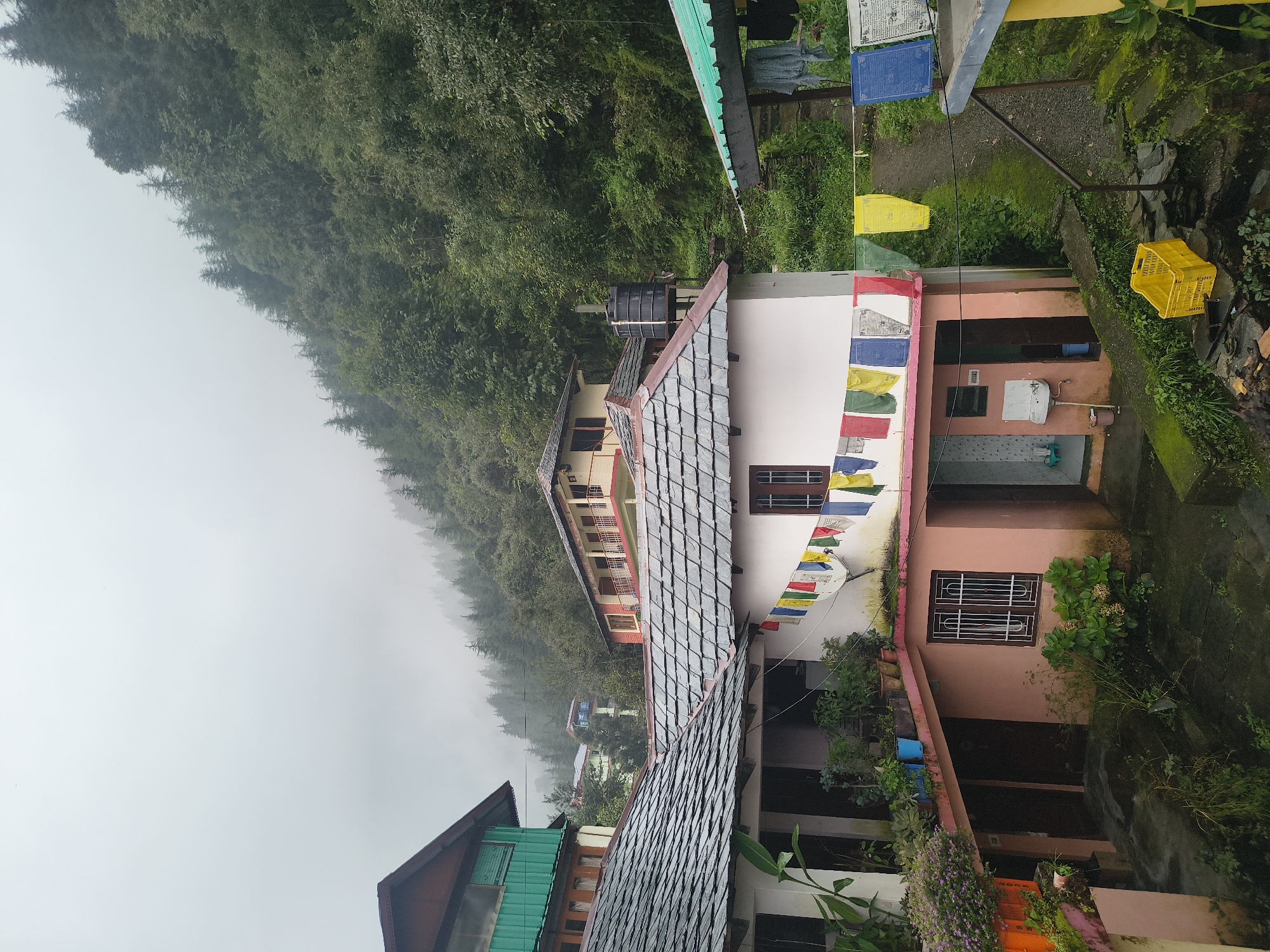 This is a medium-shot photograph taken in Dharamkot, India, capturing a village scene on a misty, overcast day. In the foreground, several buildings with gray slate roofs are visible, some with white or pink facades. Prayer flags in various colors, including yellow, blue, red, and white, are strung across a clothesline between two buildings. One building has a green and red upper story. Plants and potted flowers are placed on ledges and balconies. A yellow crate sits on a moss-covered stone step in the lower right corner. In the background, a dense, green forest covers a hillside, with the upper parts of the trees shrouded in mist. A black water tank is perched on a metal frame on a higher level of one of the buildings. The overall impression is one of a serene, high-altitude village nestled in the mountains.